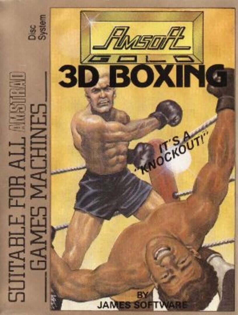 3D Boxing