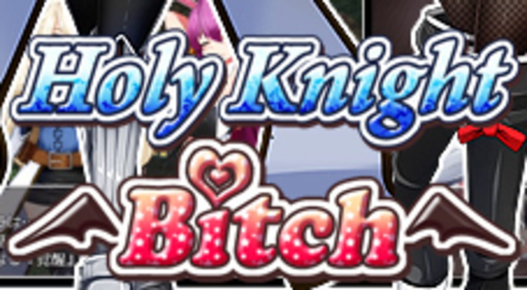 Cover image of Holy Knight Bitch