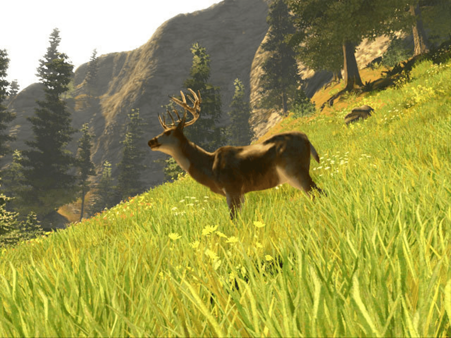 Cabela's Trophy Bucks screenshot