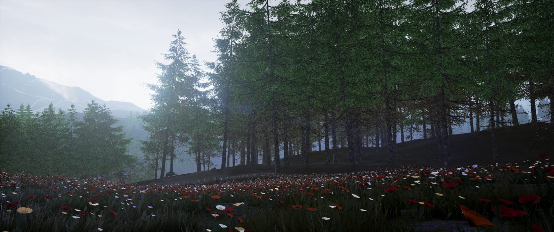 Conclusion - Screenshot