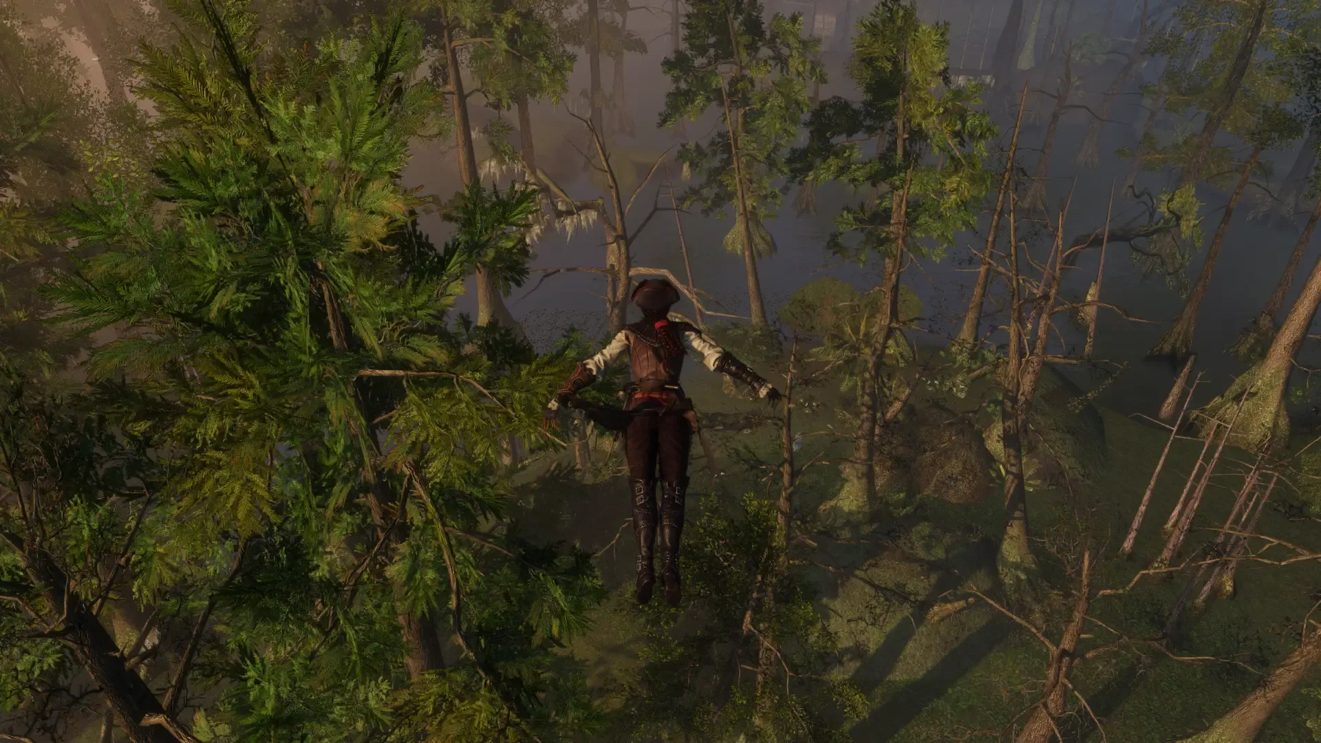 Captura de pantalla - Assassin's Creed III: Liberation