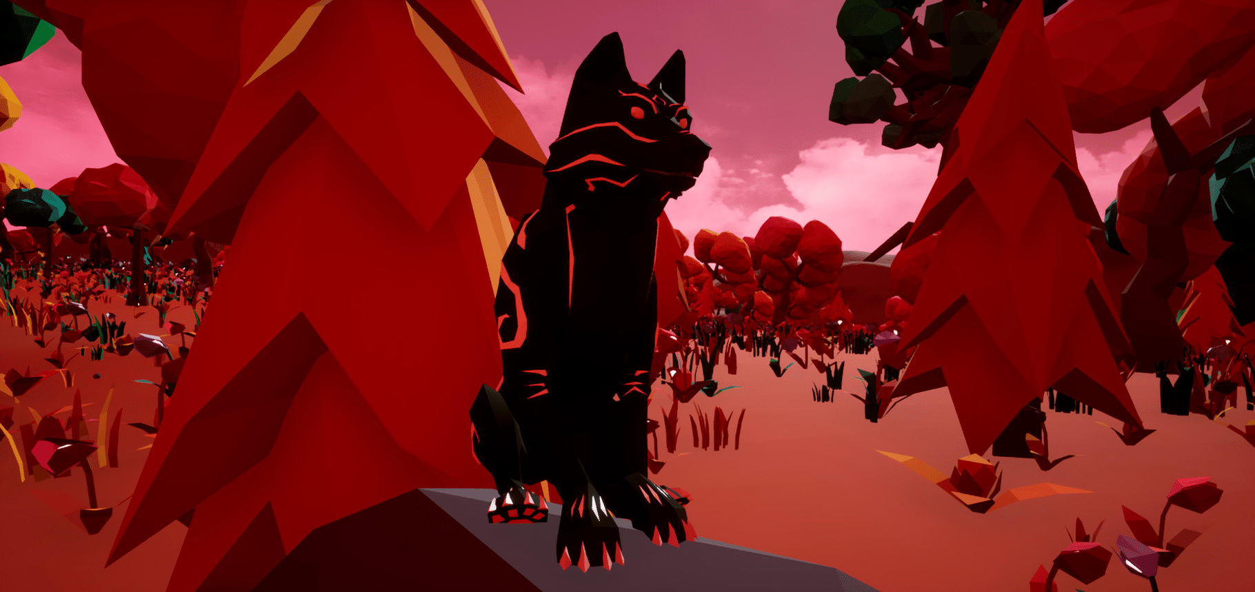 Paws and Soul screenshot