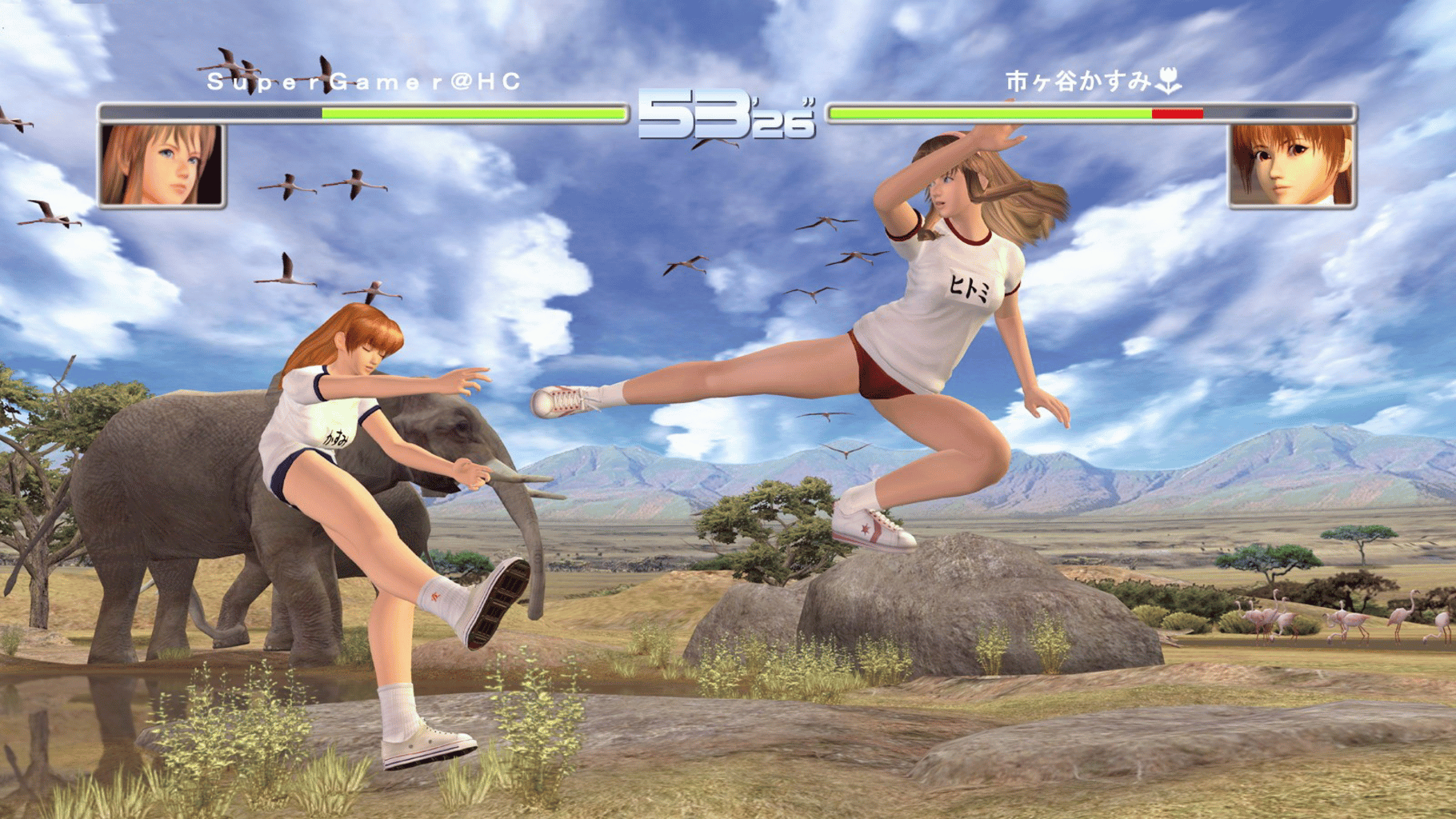 Dead or Alive 2 Ultimate screenshot