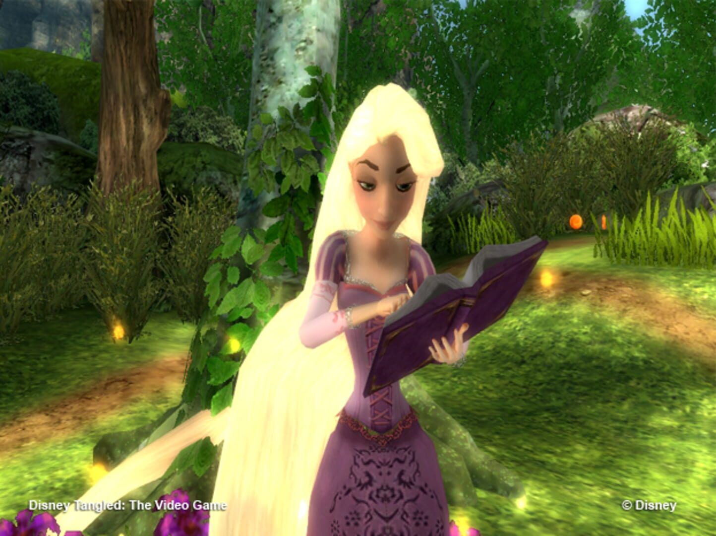 Captura de pantalla - Tangled: The Video Game