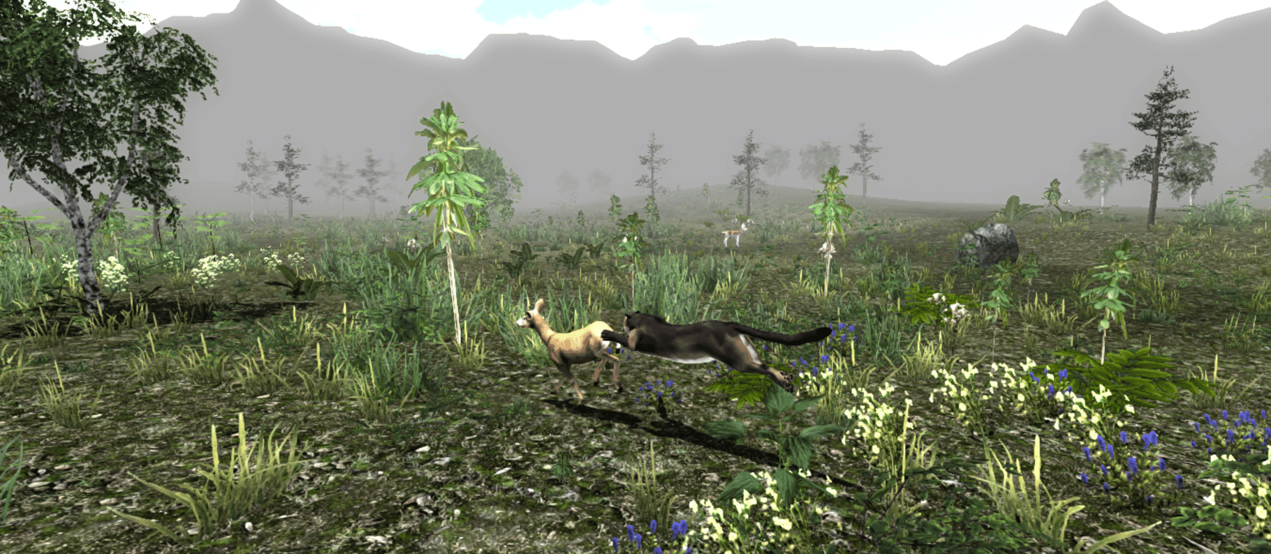 Untamed: Life of a Cougar screenshot