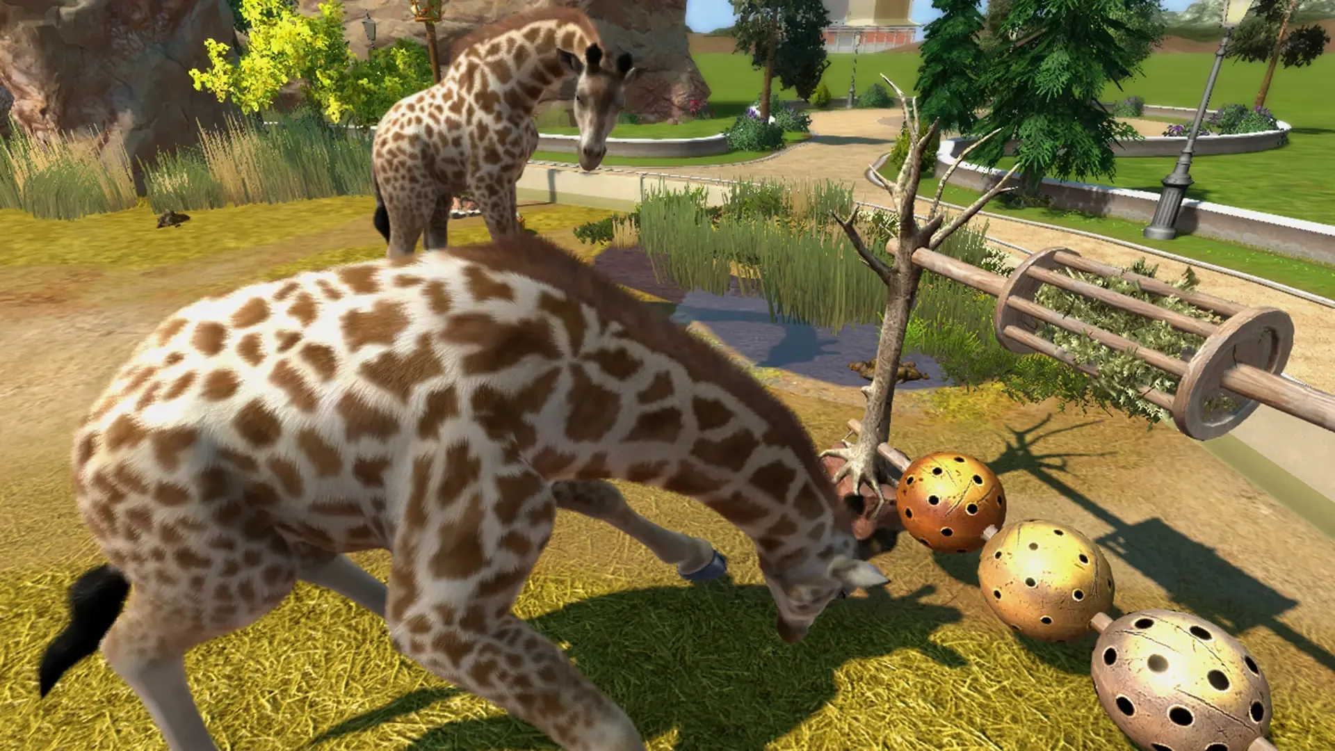 Captura de pantalla - Zoo Tycoon