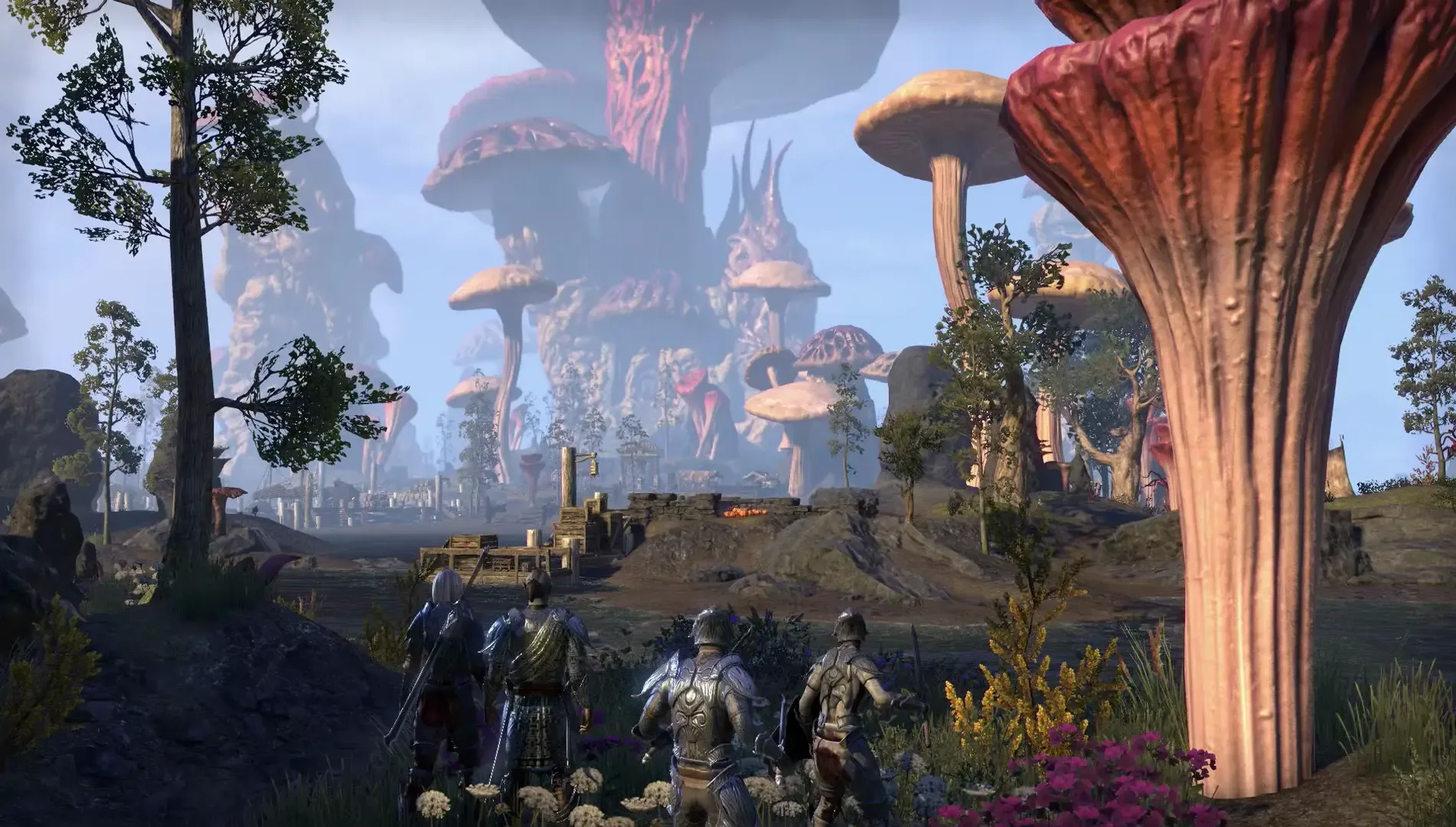 Captura de pantalla - The Elder Scrolls Online: Morrowind
