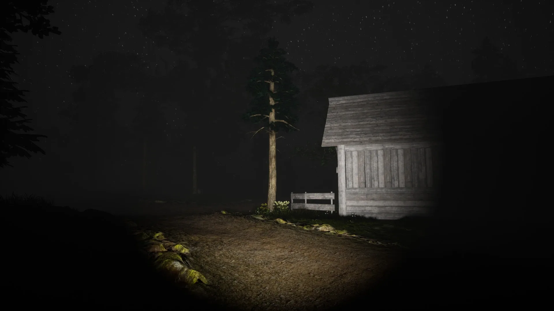 Study of Unusual: Forest of Secrets
