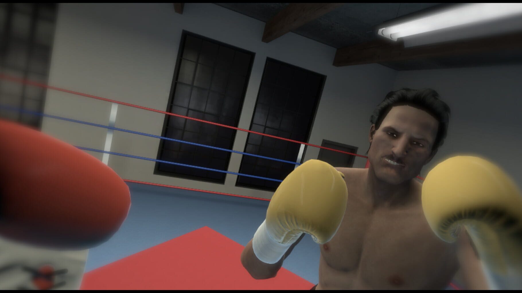 Captura de pantalla - The Thrill of the Fight - VR Boxing