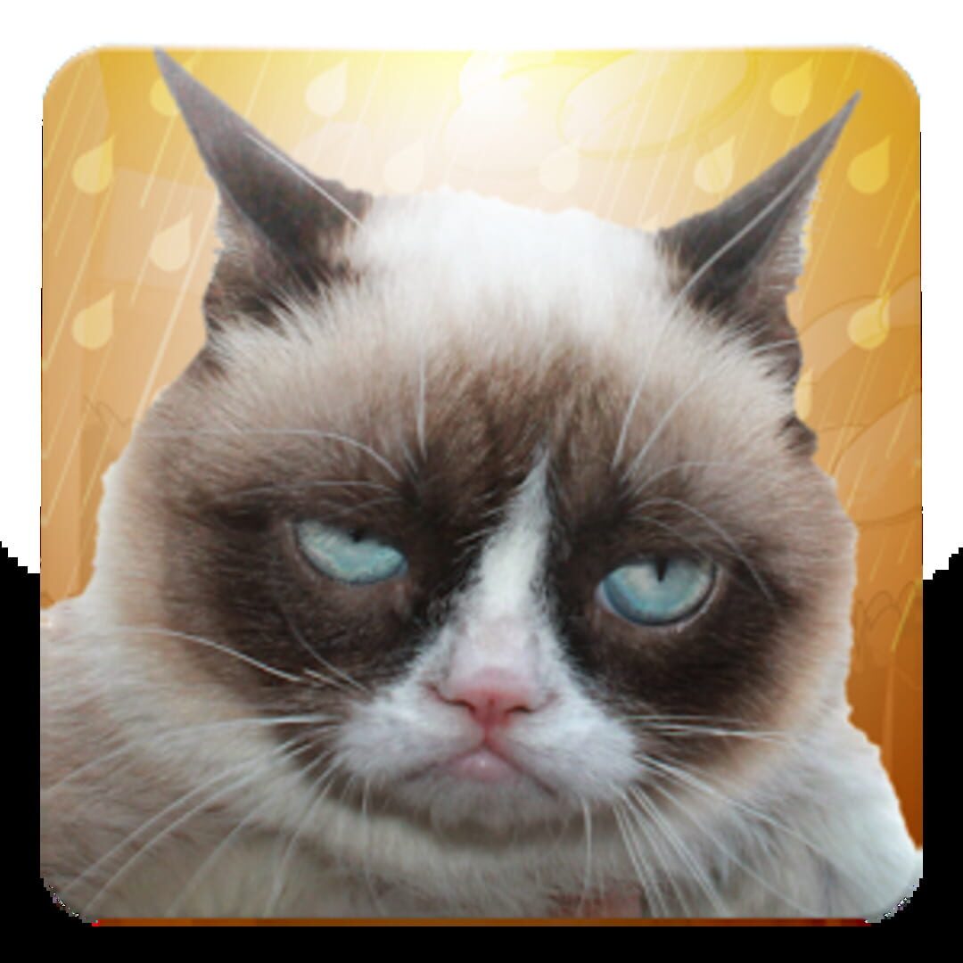 Grumpy Cat: Unimpressed (2013)