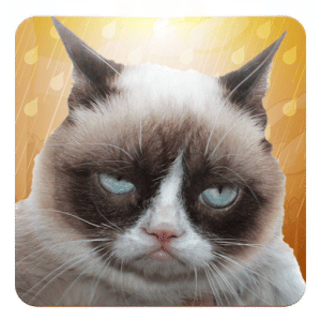 Grumpy Cat: Unimpressed Cover