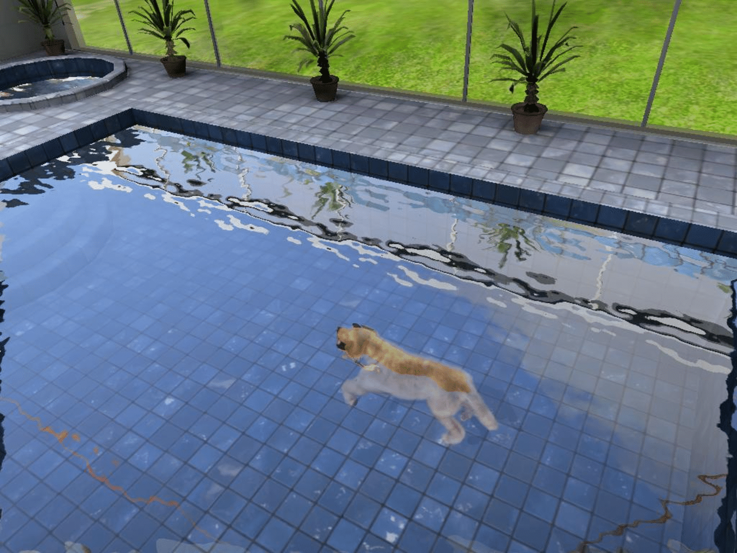 Paws & Claws: Pampered Pets screenshot