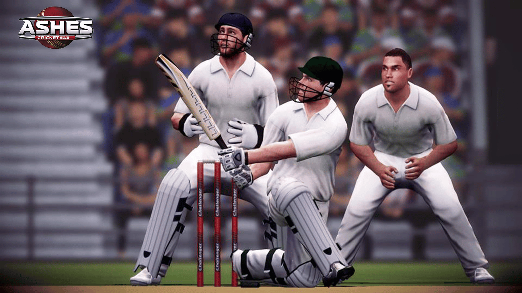 Ashes Cricket 2013 screenshot