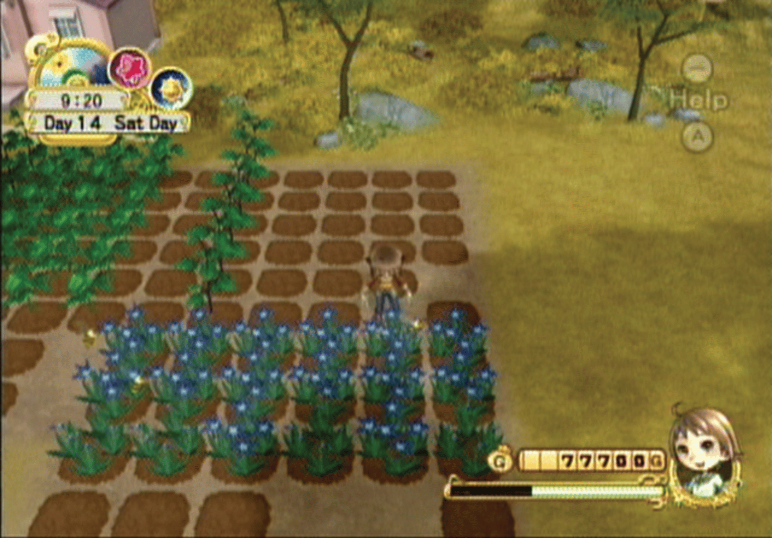 Harvest Moon: Tree of Tranquility screenshot