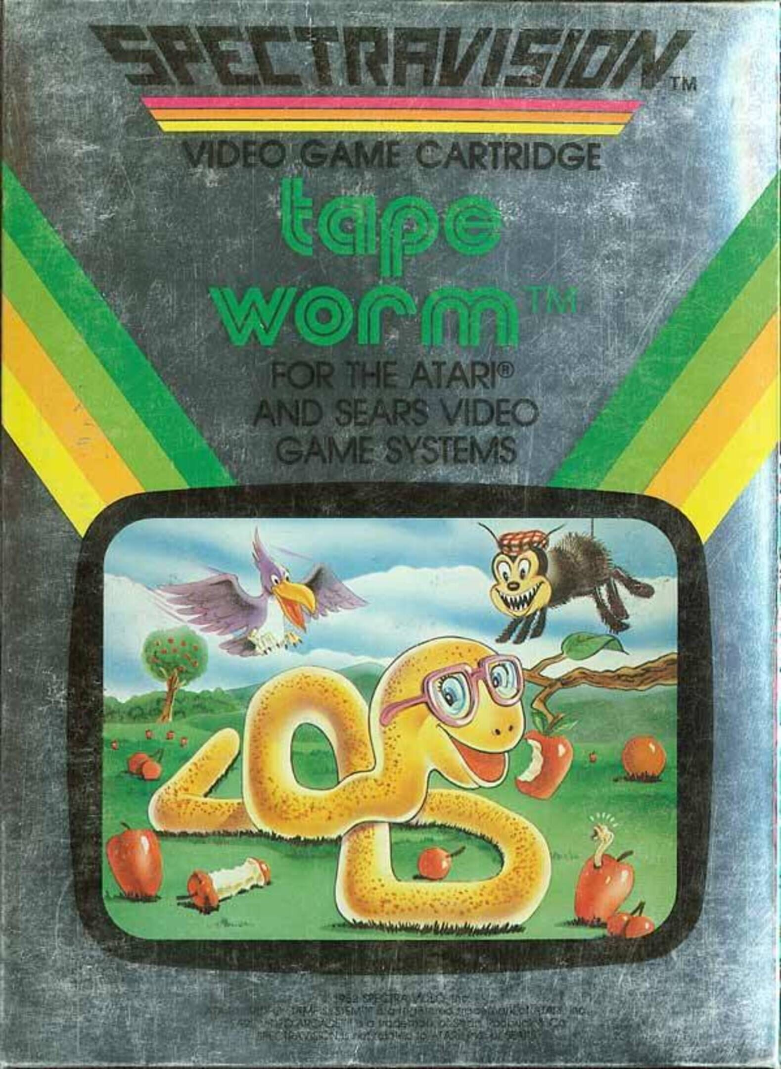 Tape Worm