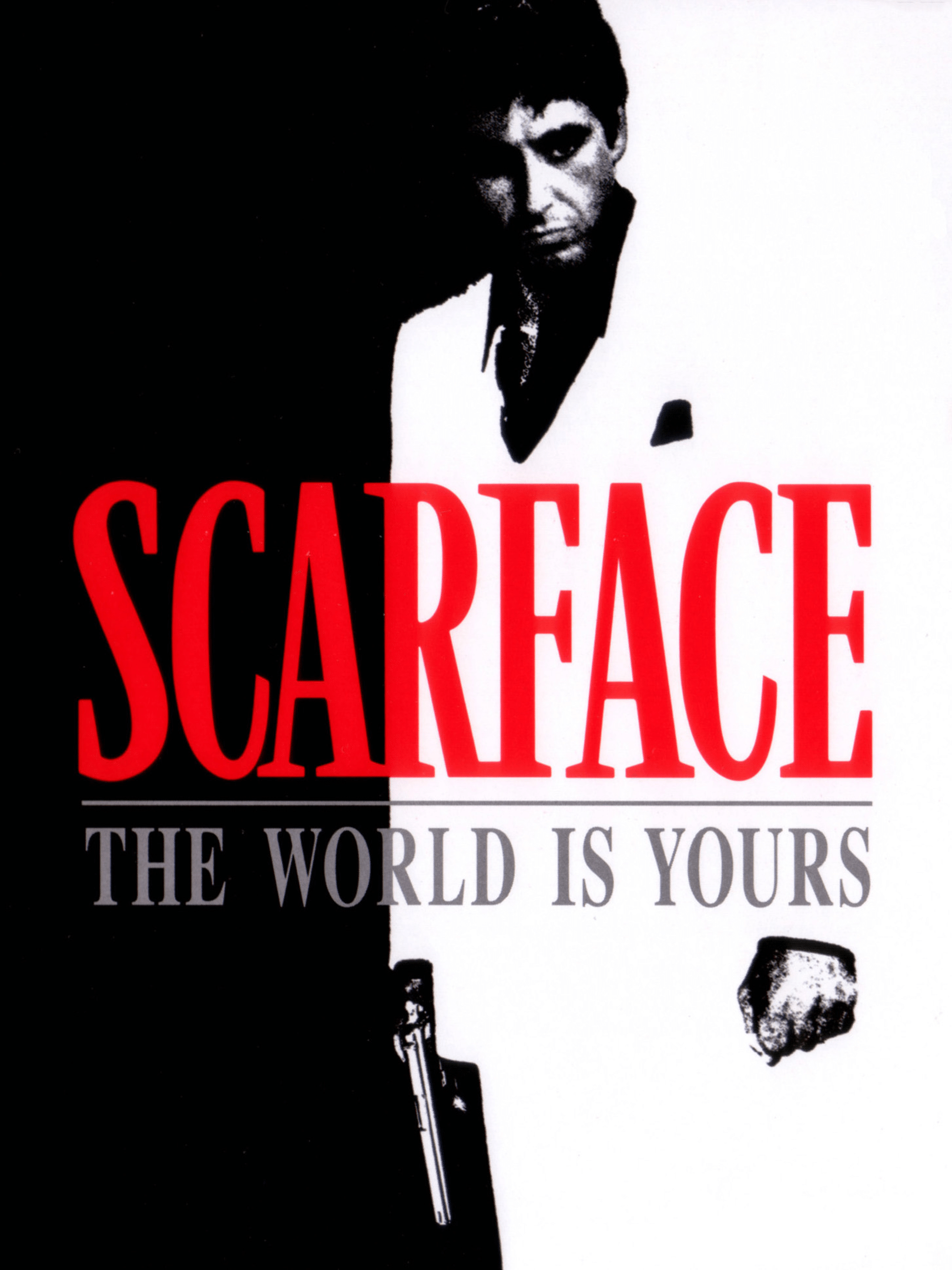 Scarface: The World Is Yours box art