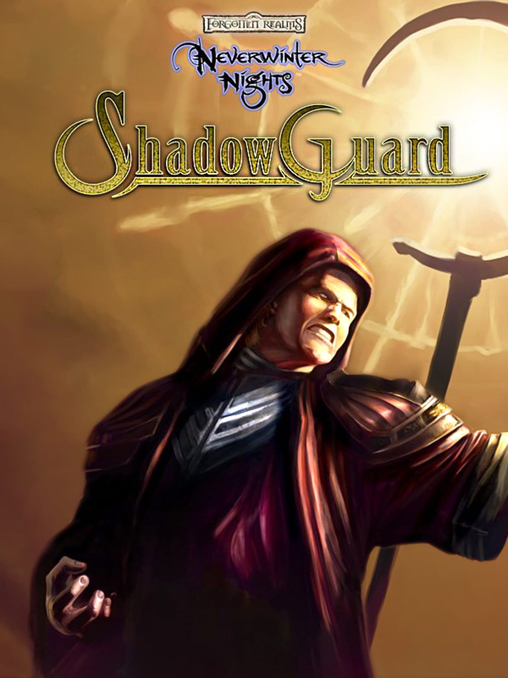 Neverwinter Nights: ShadowGuard cover