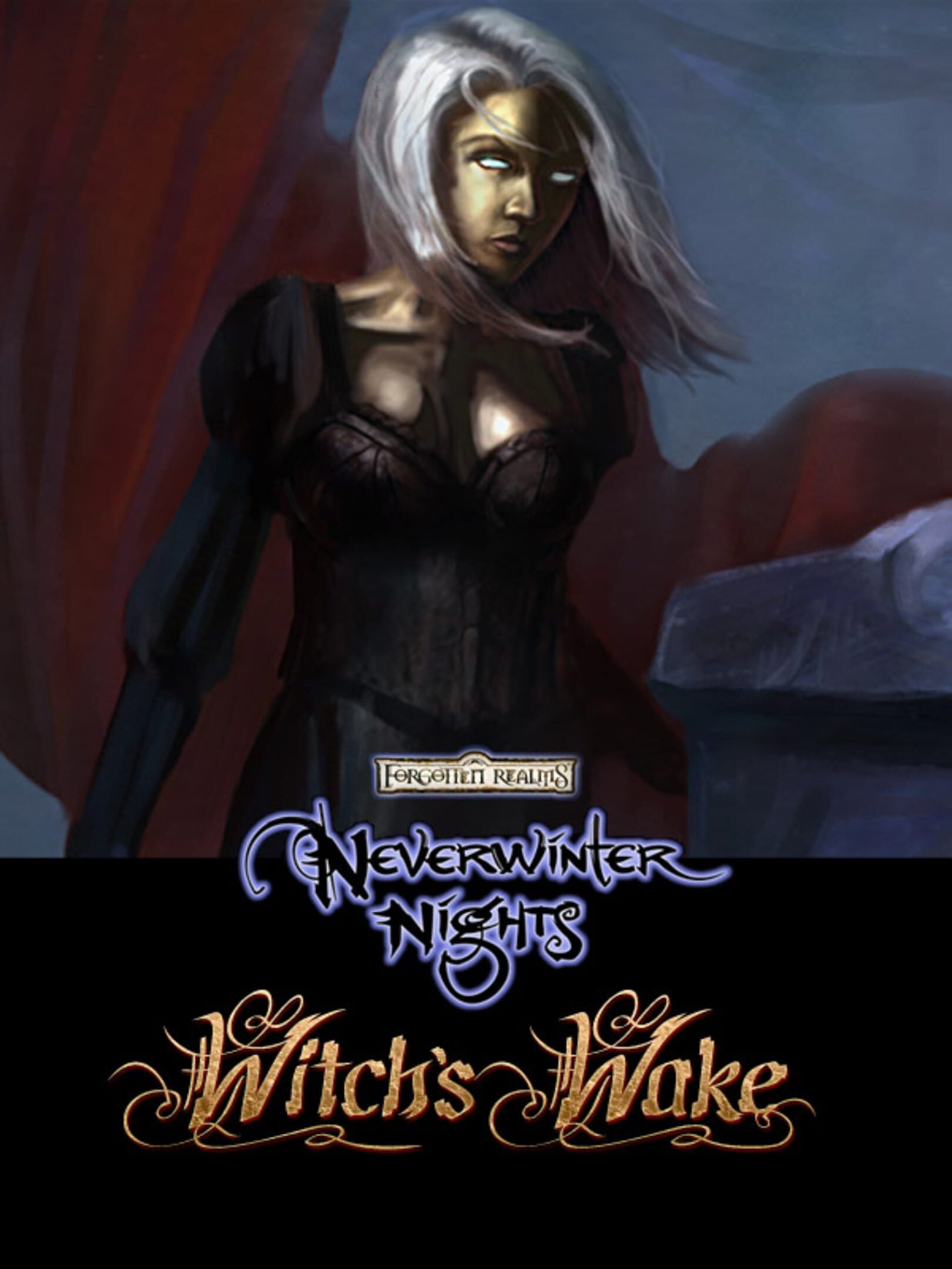 Neverwinter Nights: Witch's Wake cover