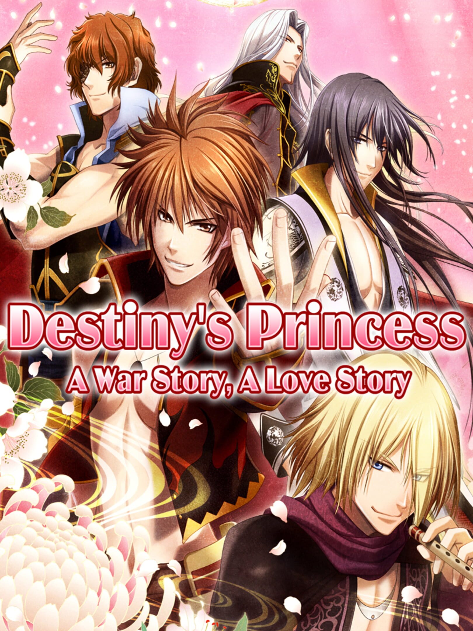Destiny's Princess: A War Story, A Love Story cover