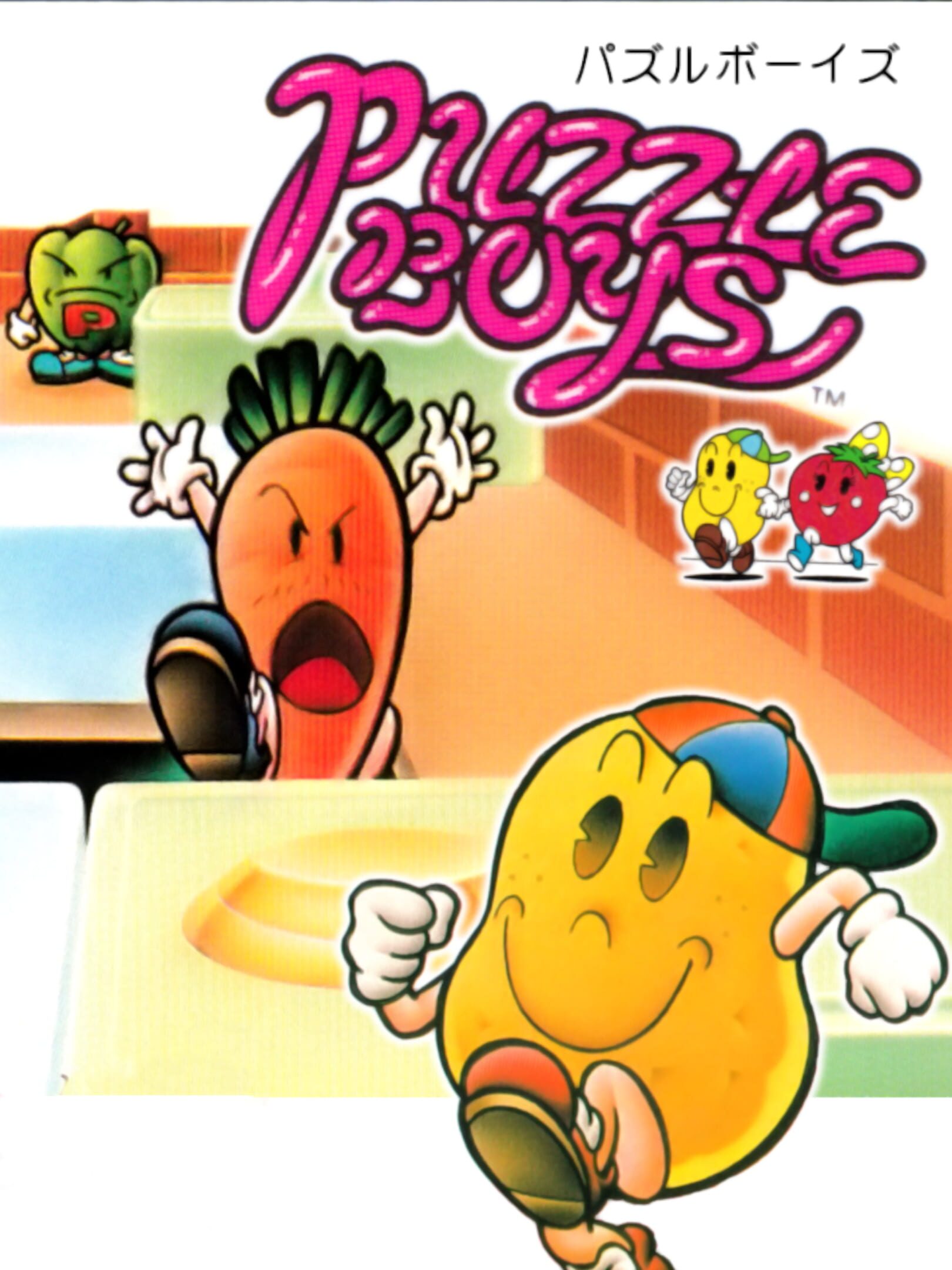 Puzzle Boys cover