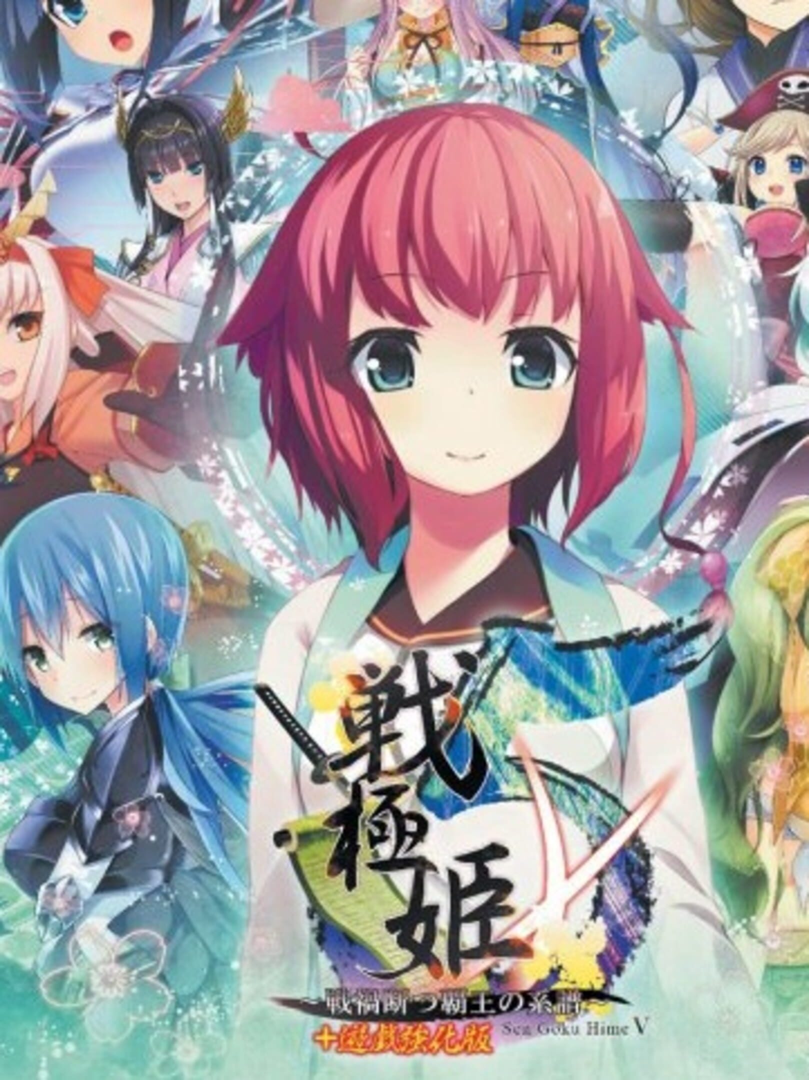 Sengoku Hime 5: Senka Tatsu Haou no Keifu