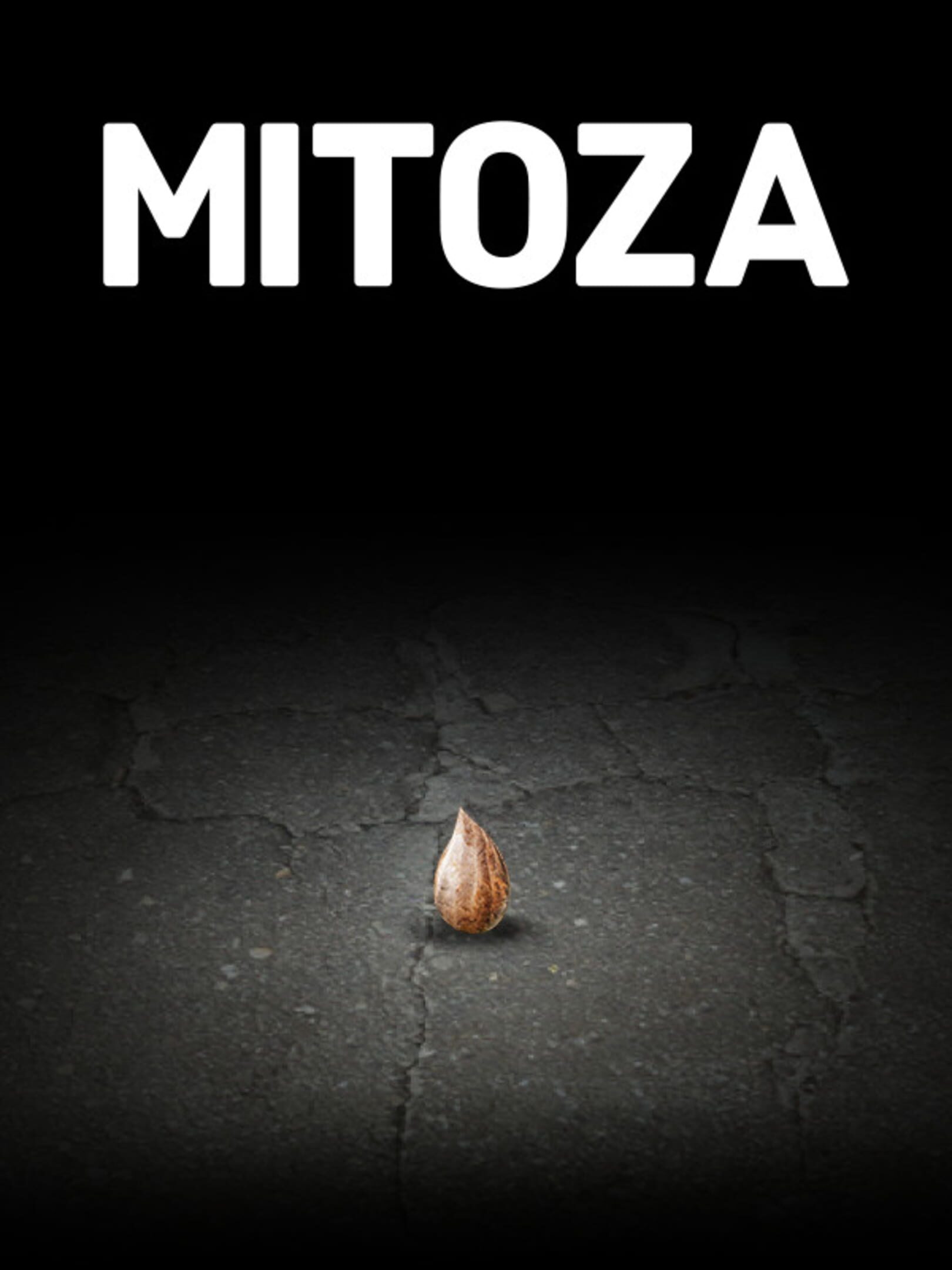 Mitoza cover