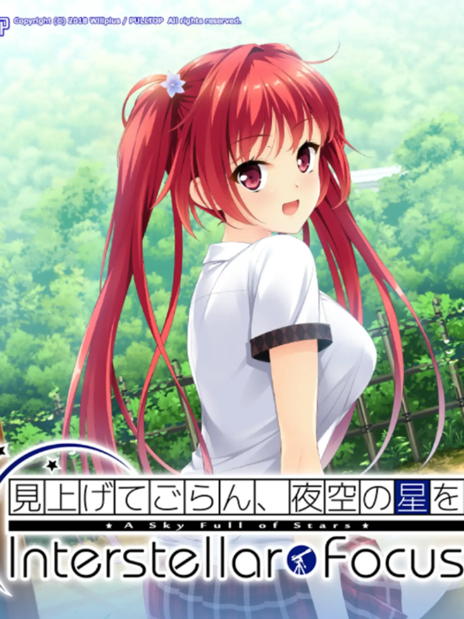 見上げ て ごらん 夜空 の 星 を