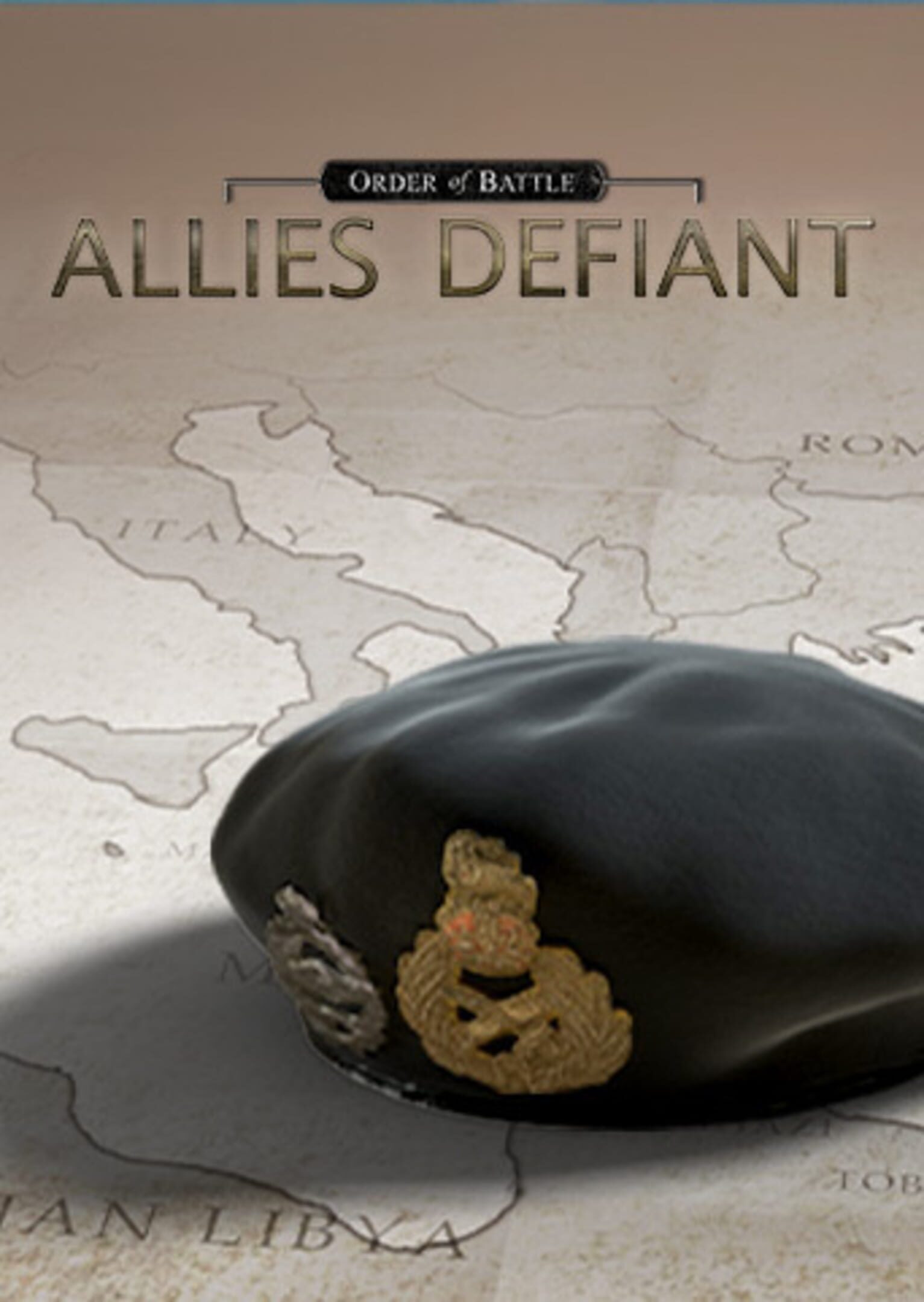 Order of Battle: Allies Defiant cover