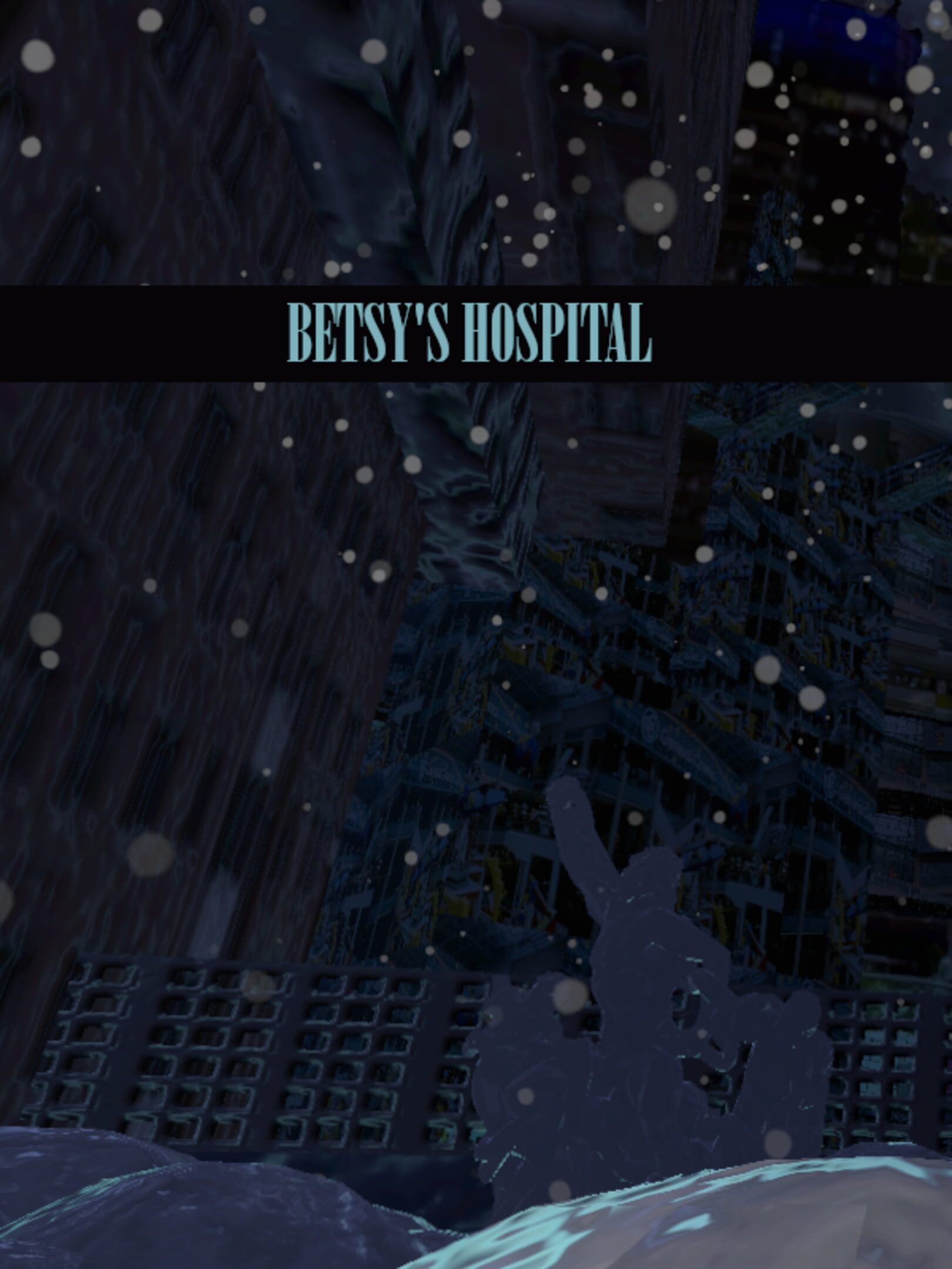 Betsy's Hospital