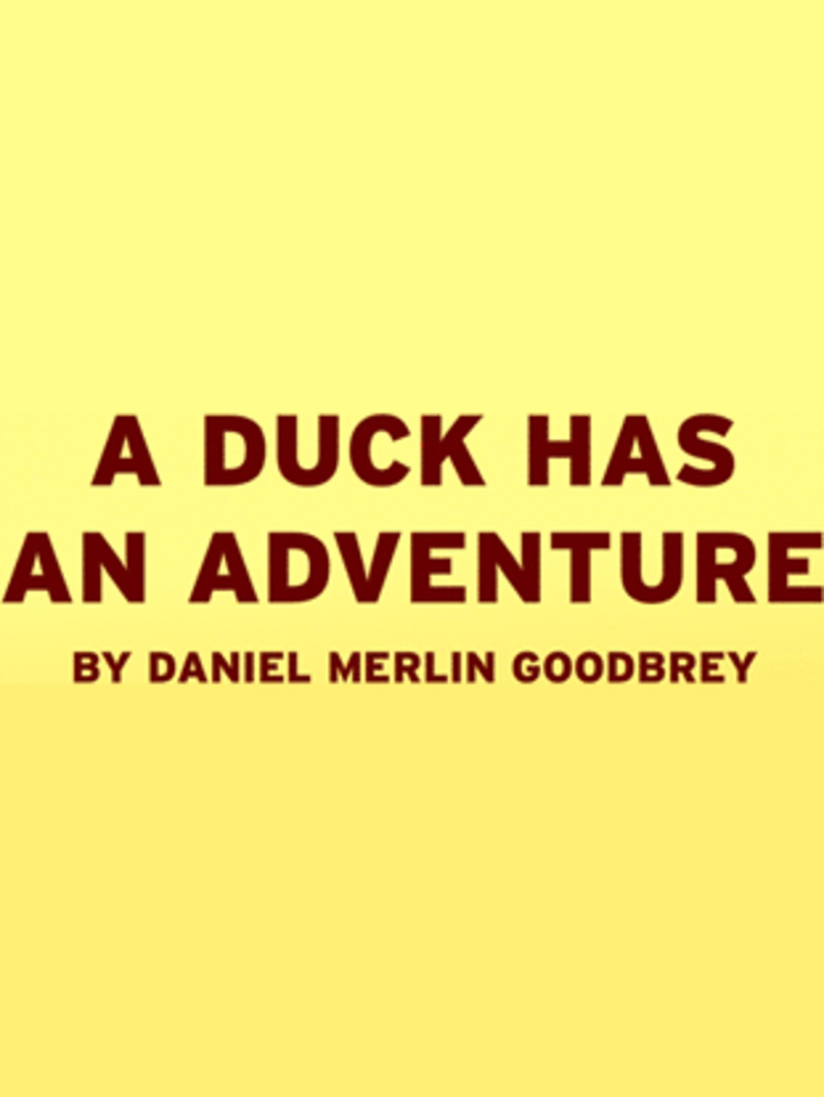 A Duck Has An Adventure cover