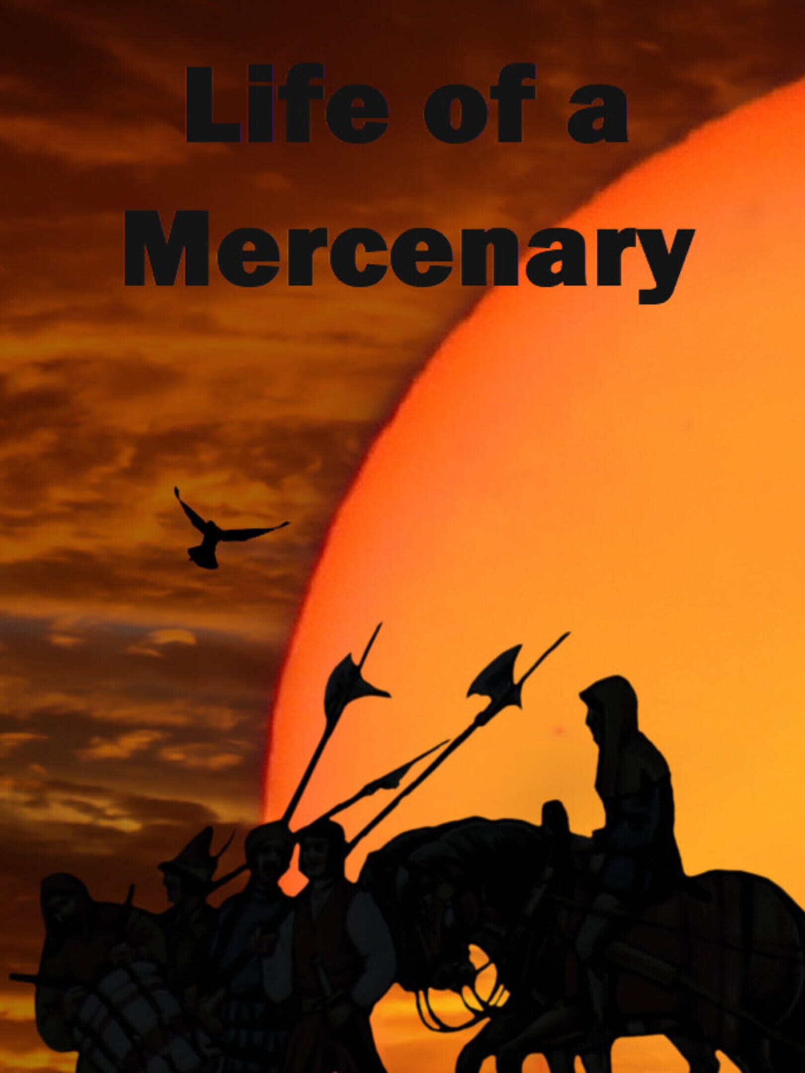 Life of a Mercenary