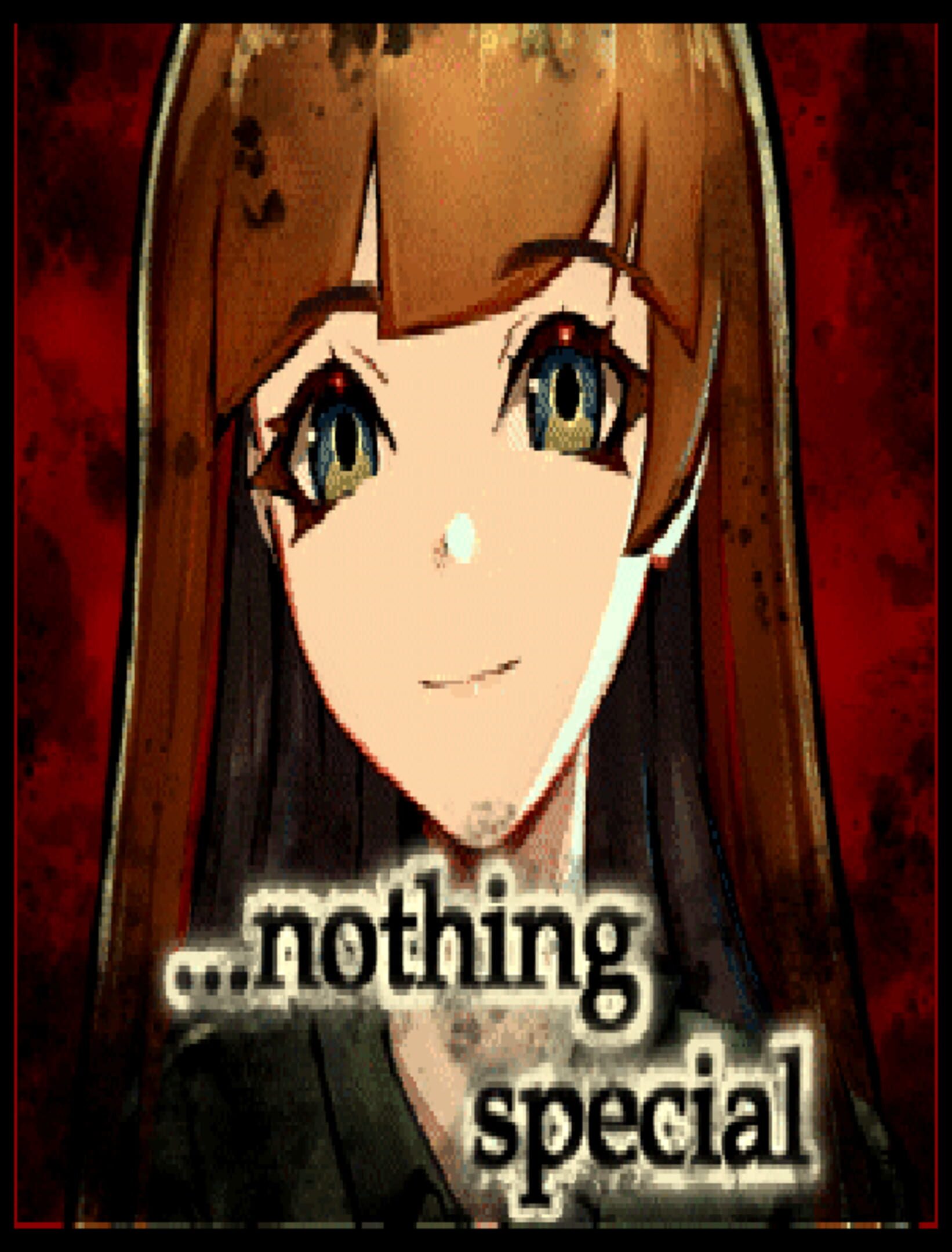 Nothing Special cover