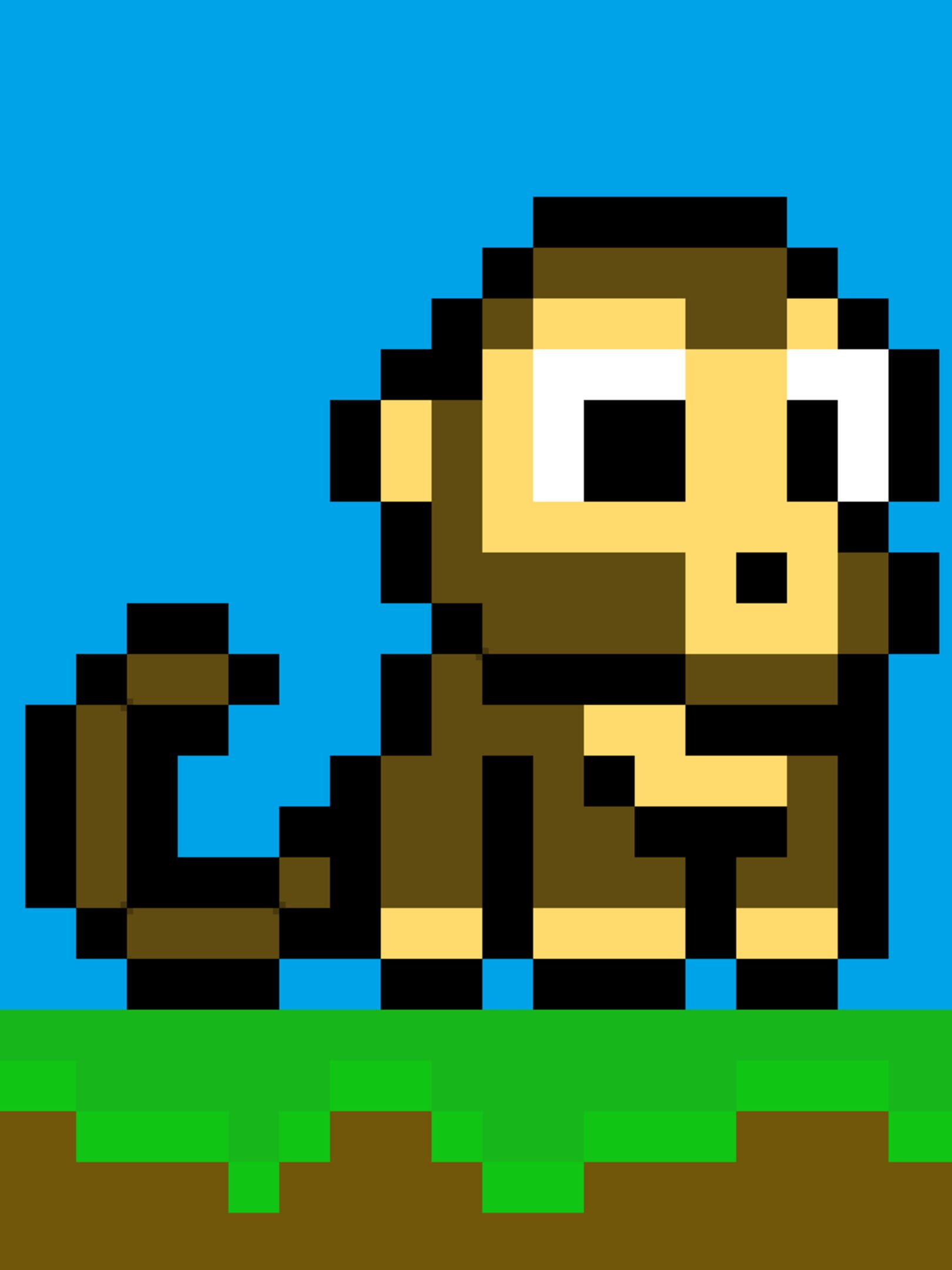 Monkey Time cover
