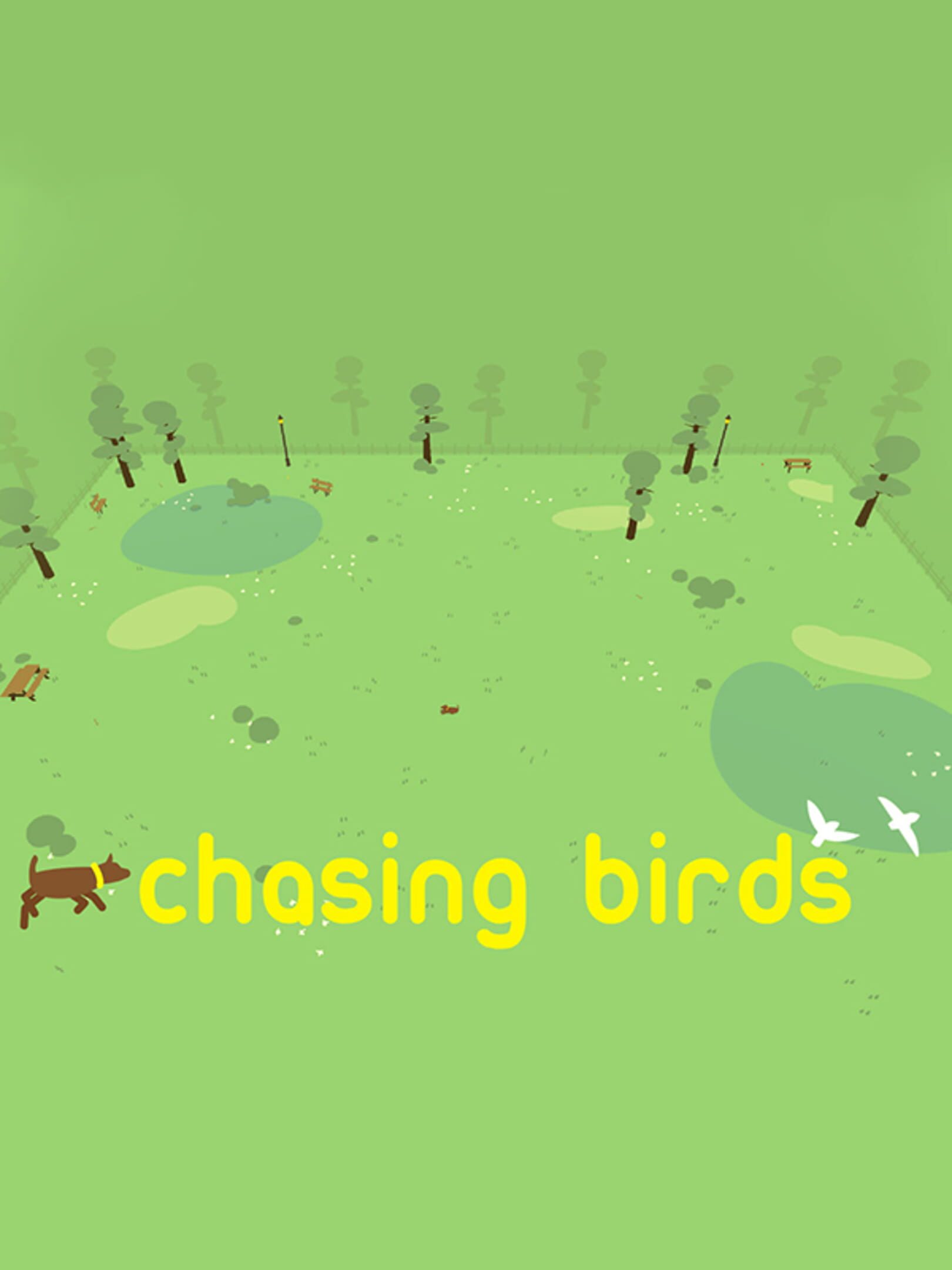 Chasing Birds cover