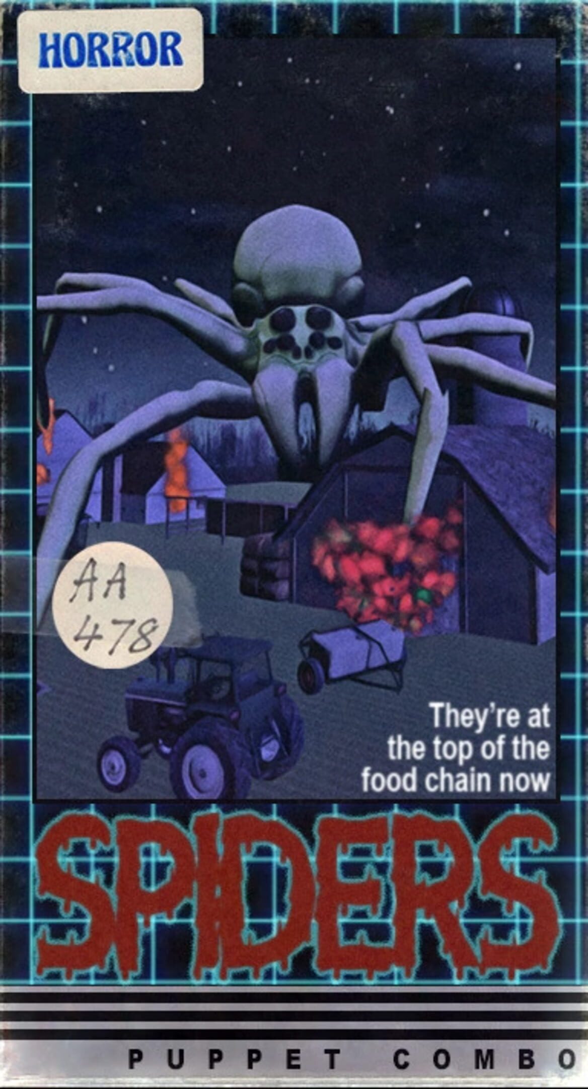 Spiders