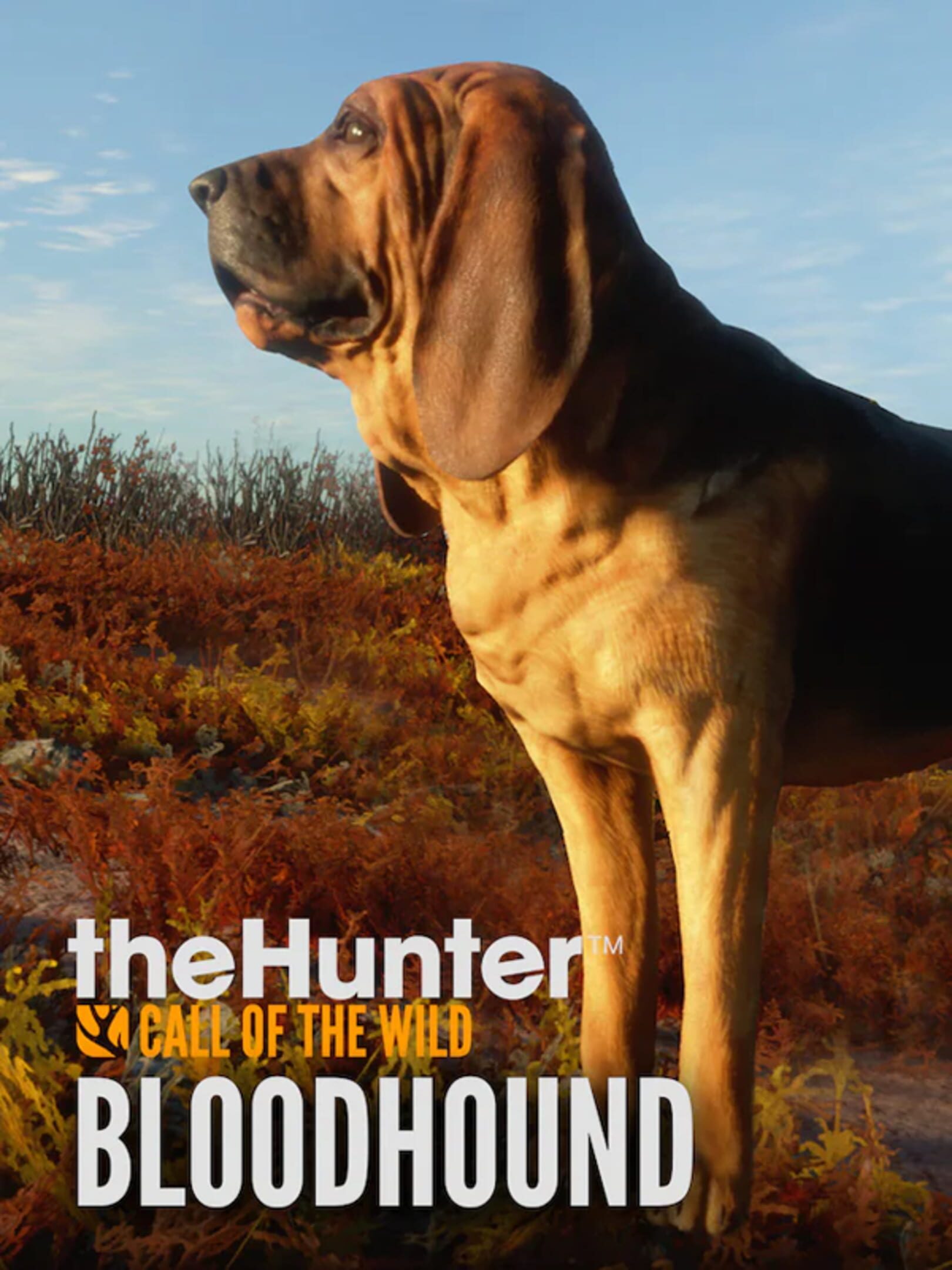 TheHunter: Call of the Wild - Bloodhound cover