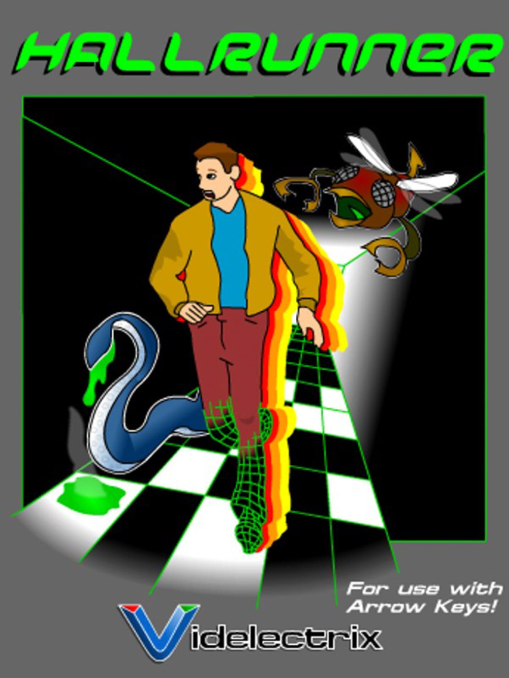 Hallrunner cover