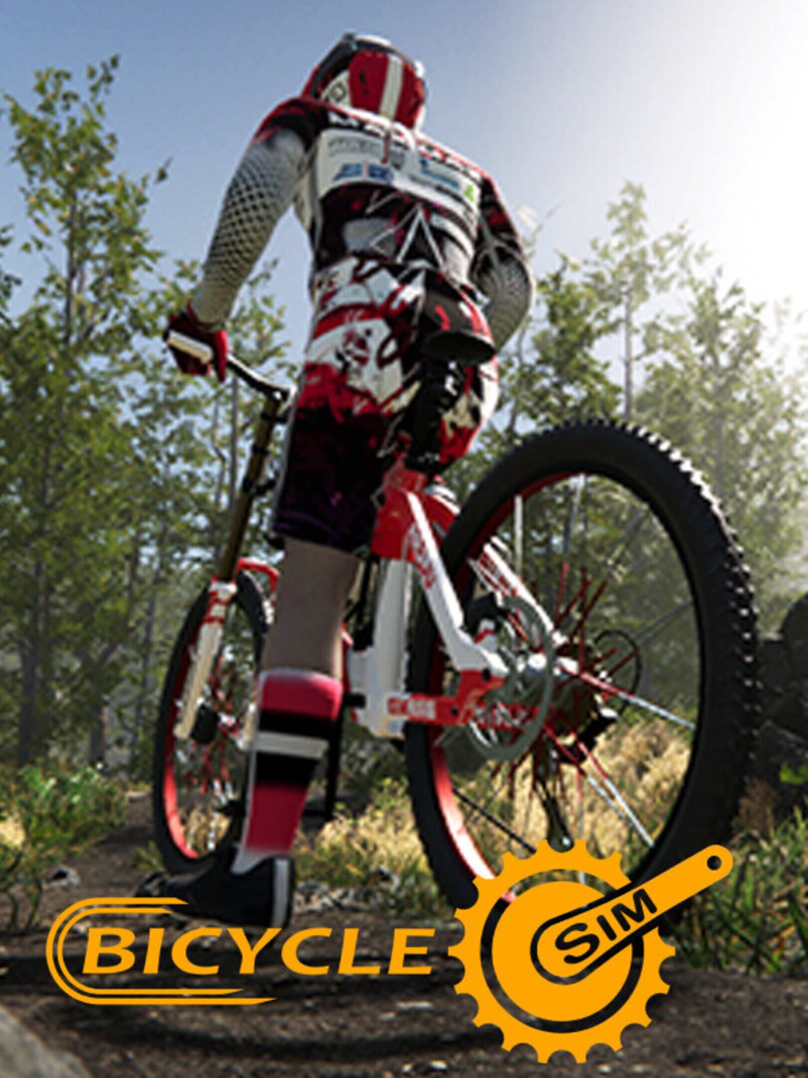 BicycleSim