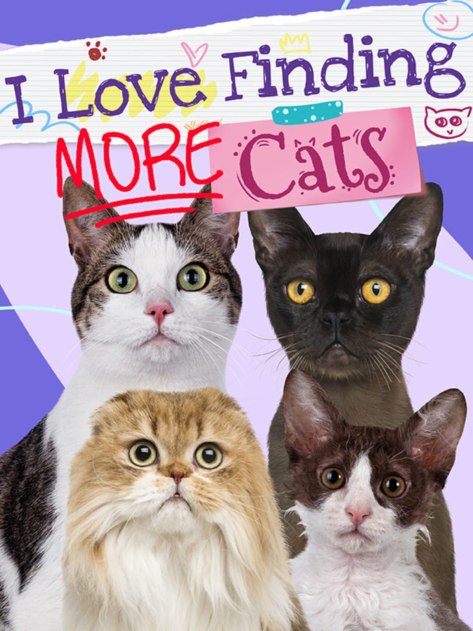 I Love Finding More Cats