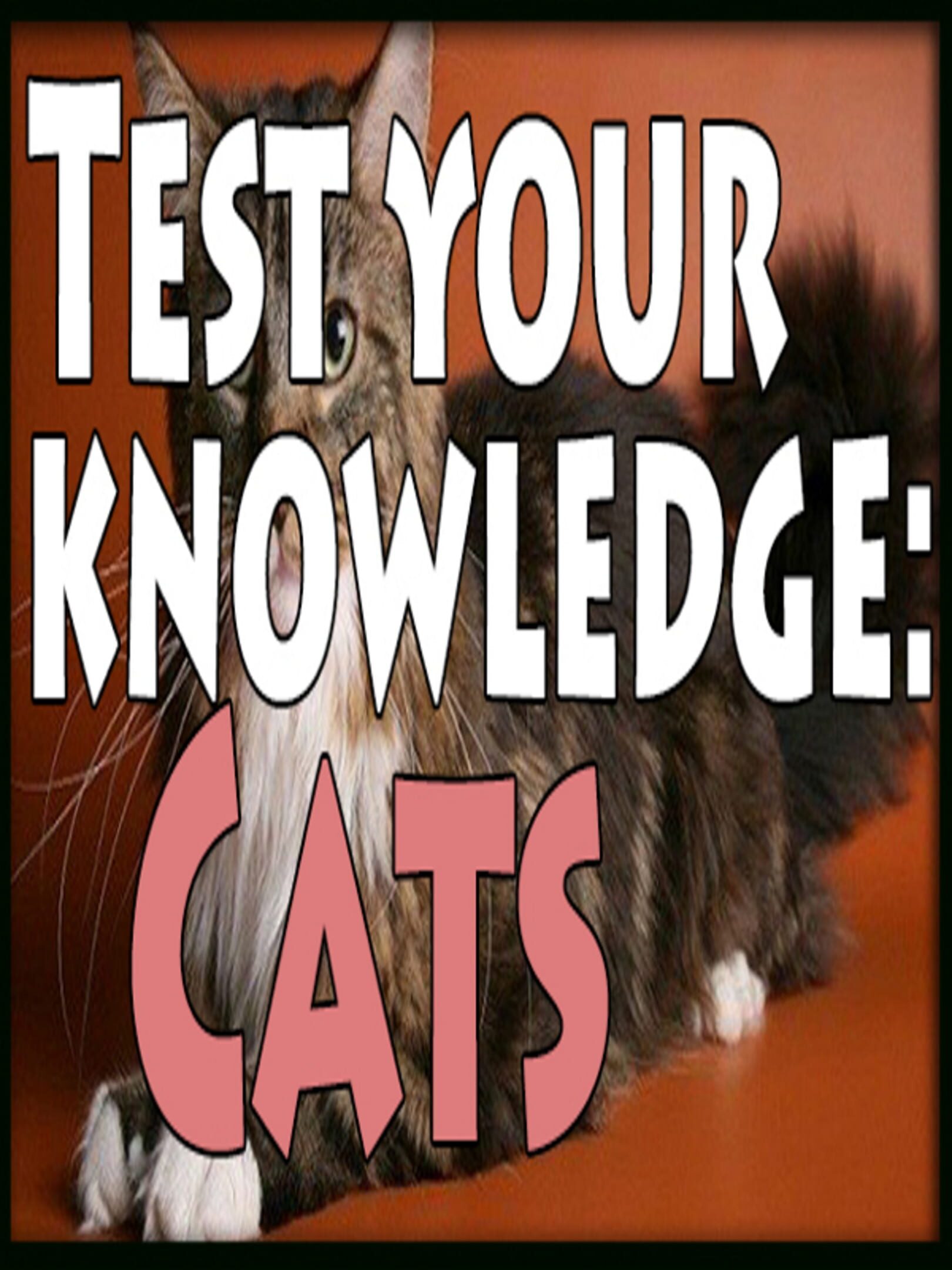 Test Your Knowledge: Cats cover
