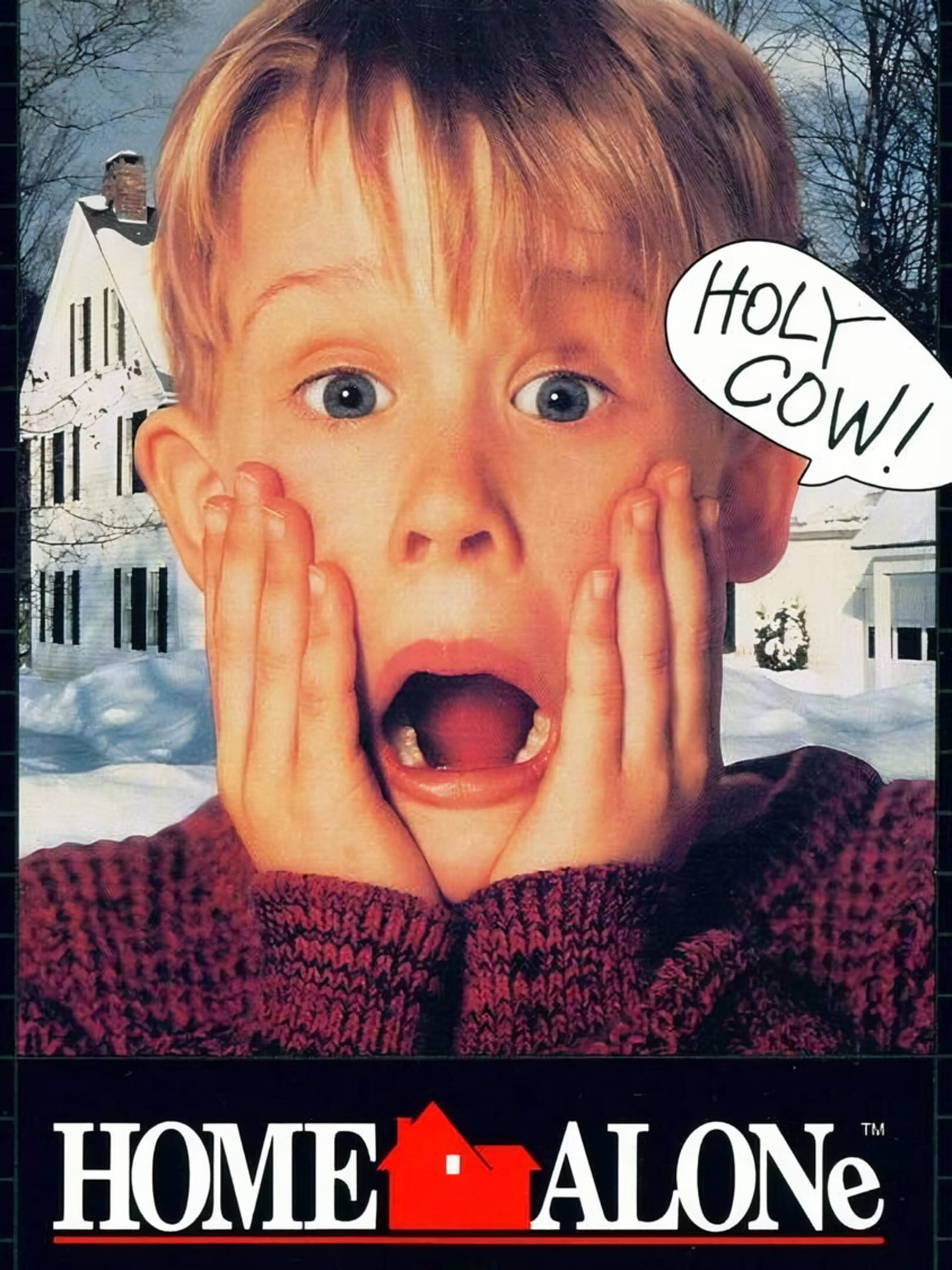 Home Alone cover