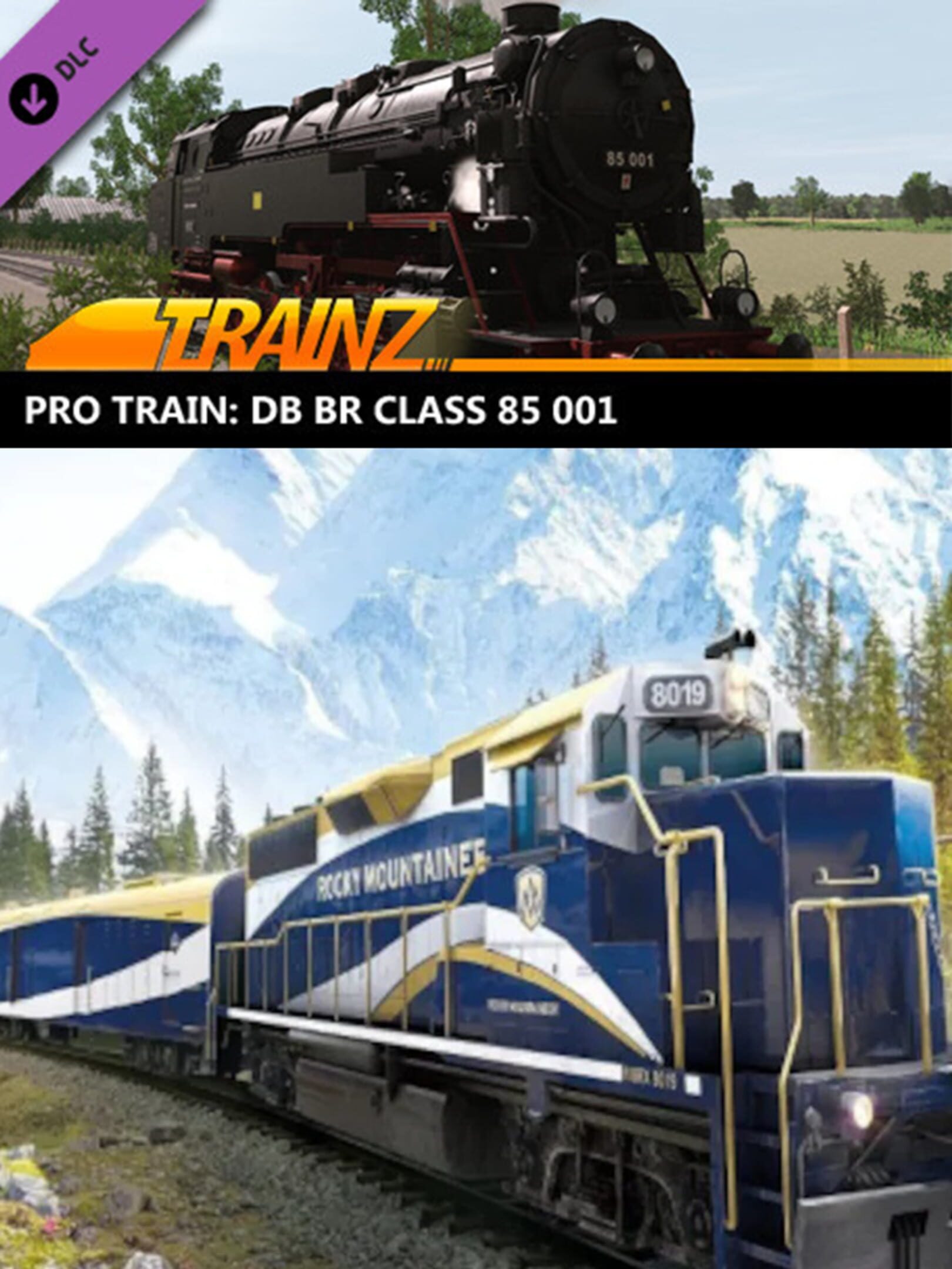 Trainz Railroad Simulator 2019: Pro Train - DB BR Class 85 001 cover