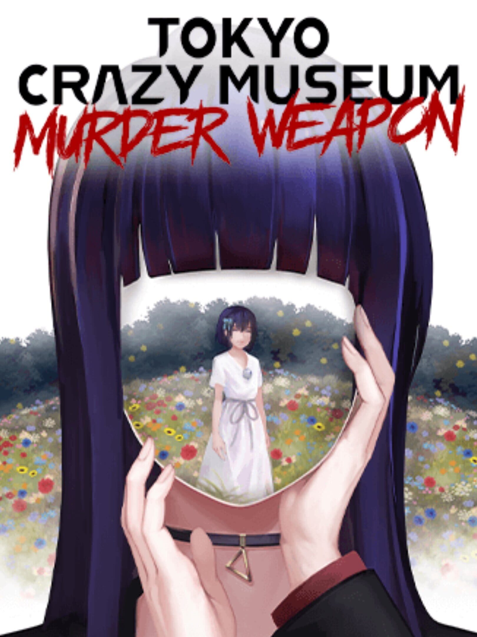 Tokyo Crazy Museum