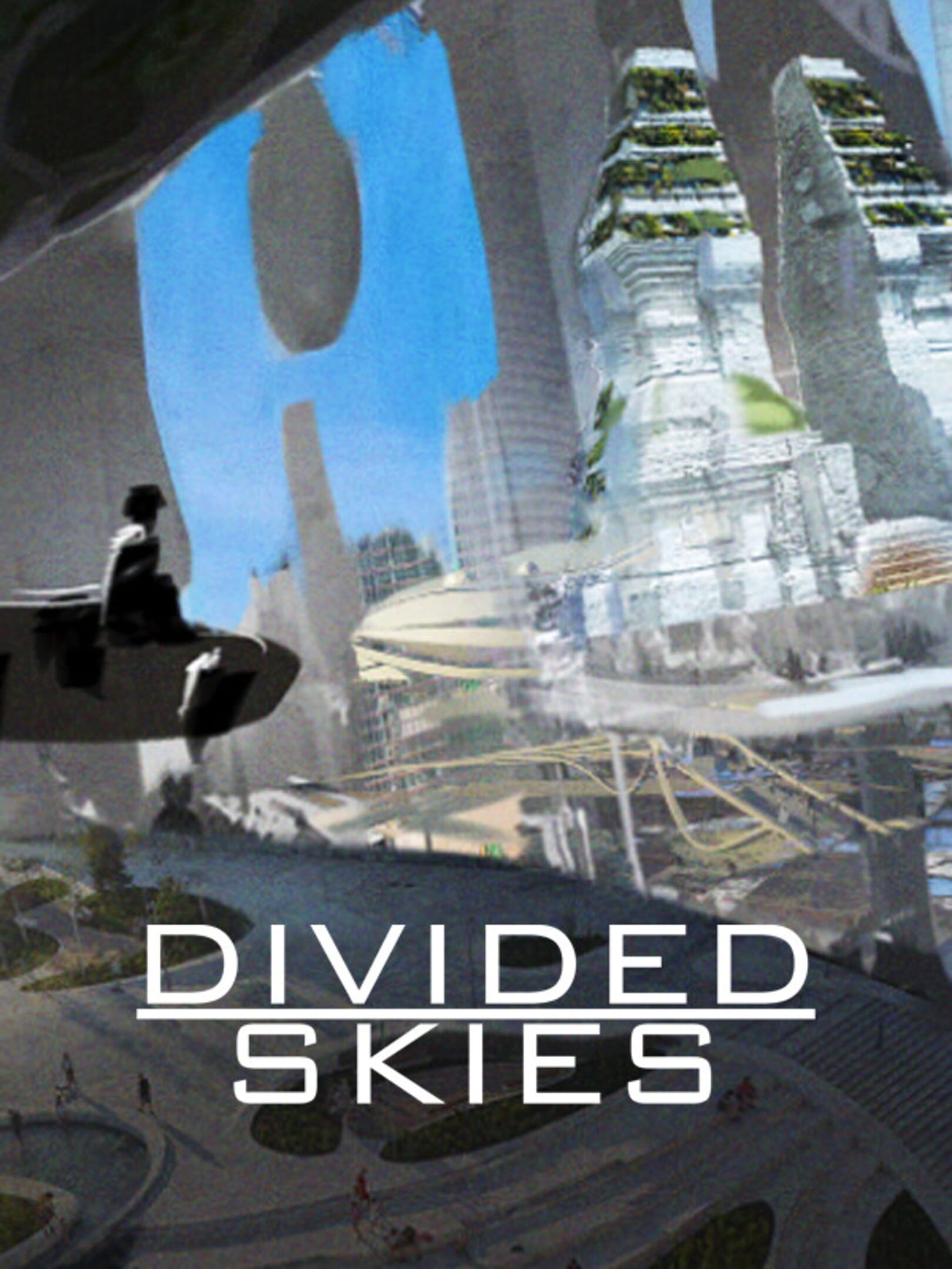 Divided Skies