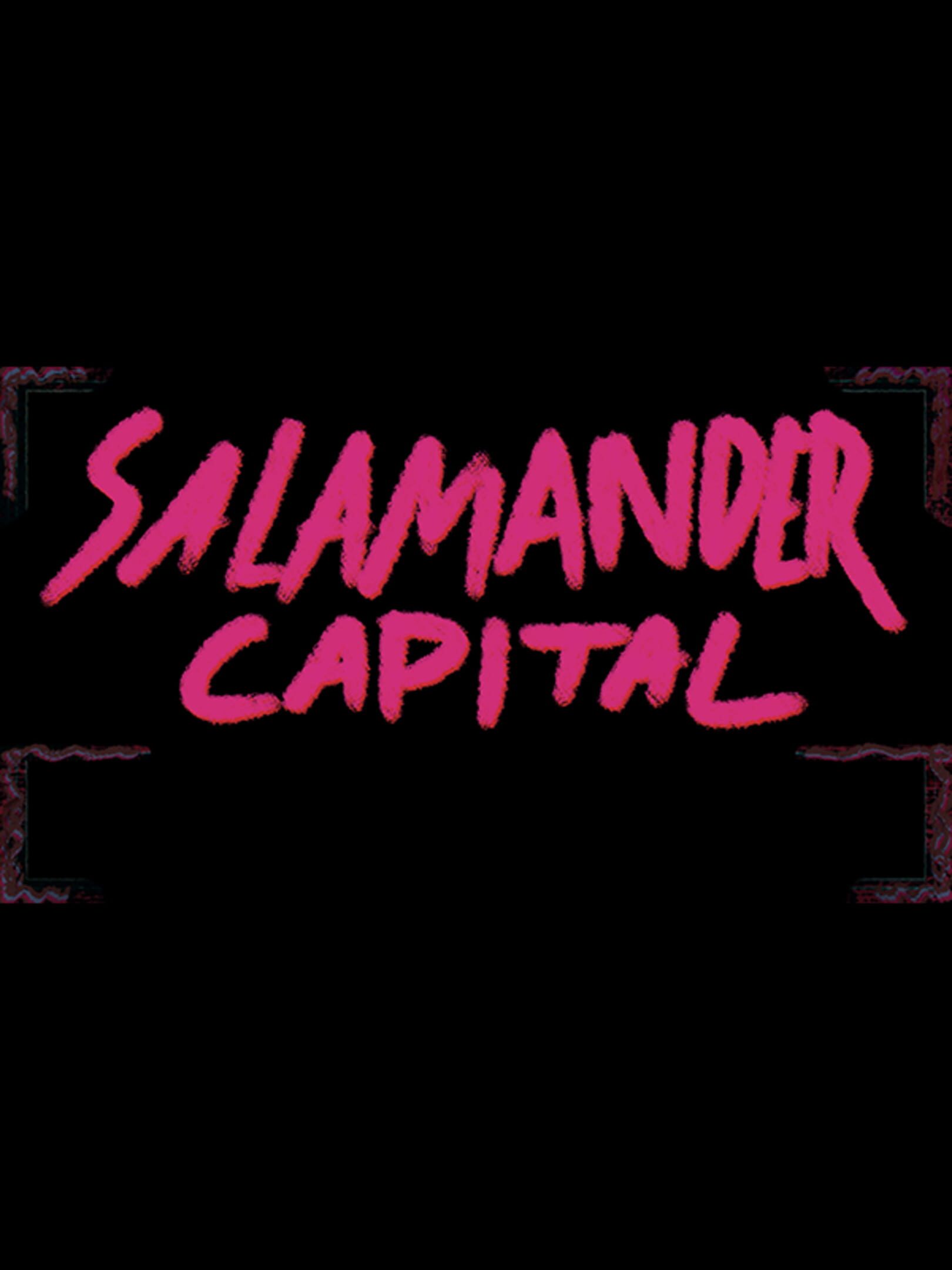 Salamander Capital cover