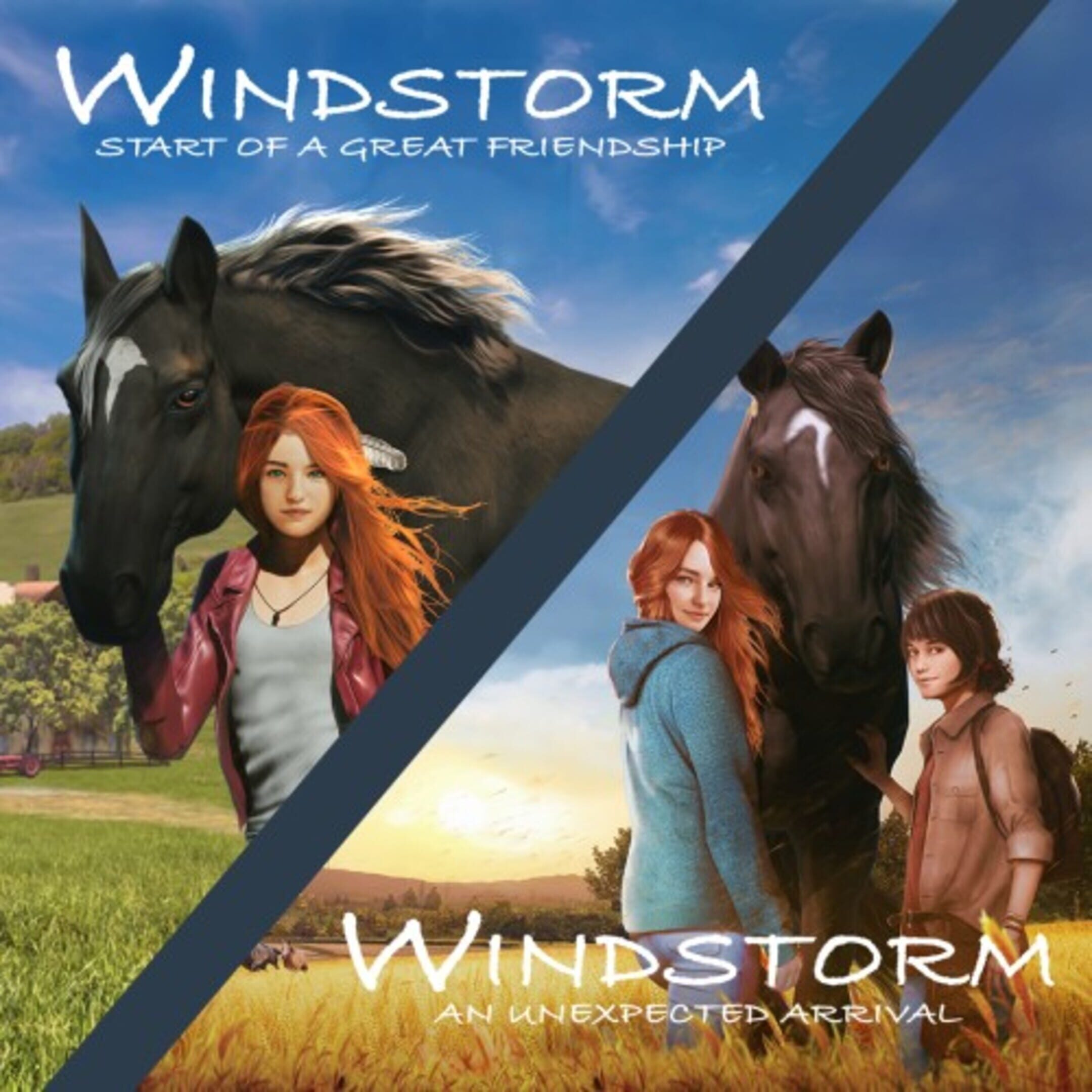 Windstorm Double Pack cover
