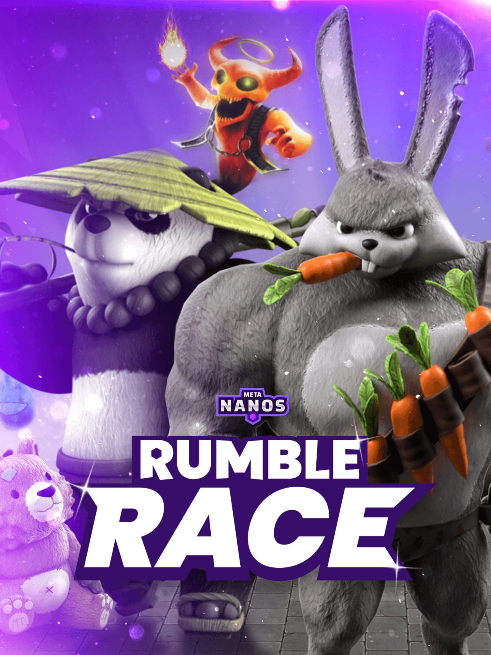 Meta Nanos: Rumble Race cover