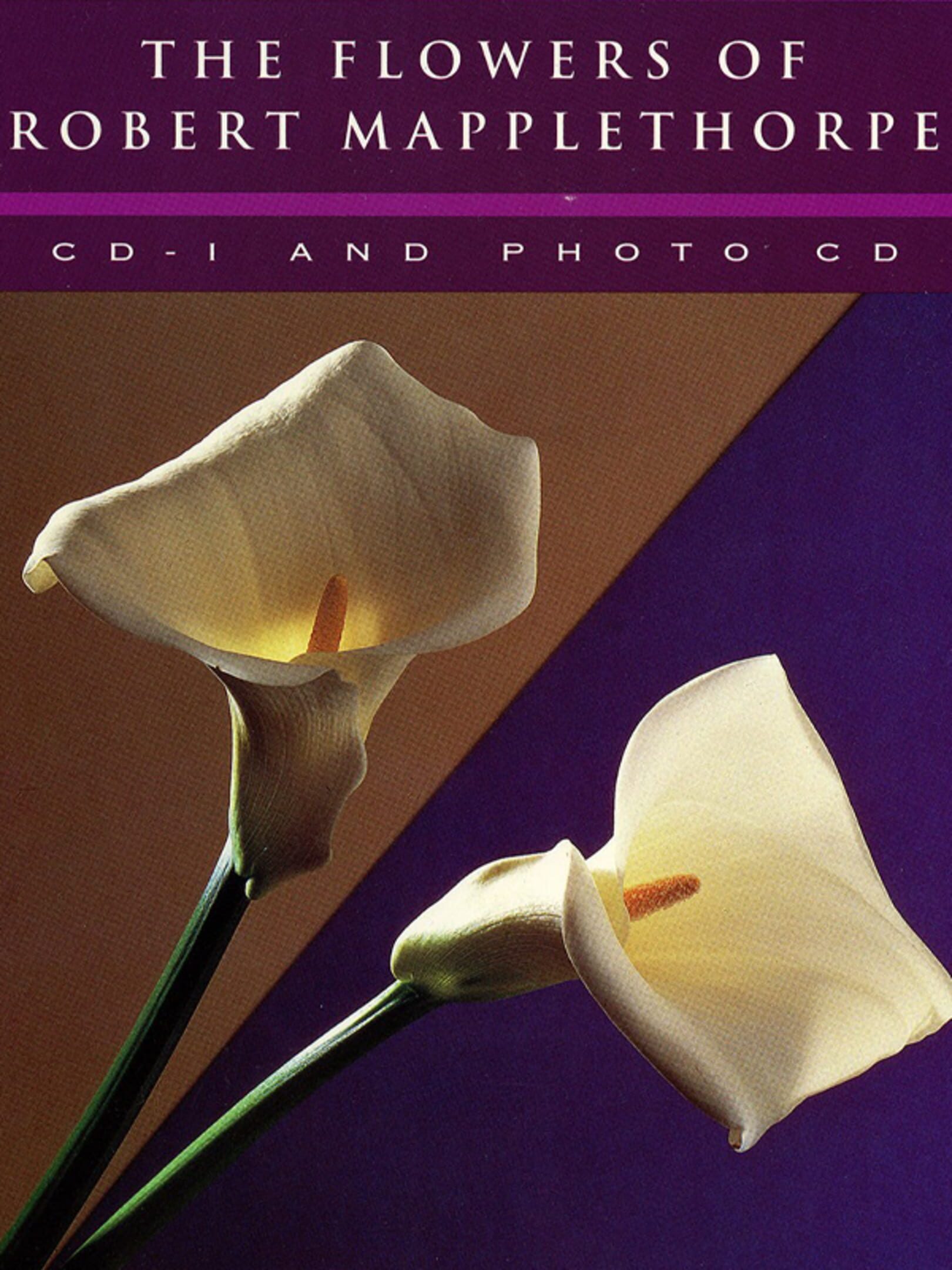 The Flowers of Robert Mapplethorpe