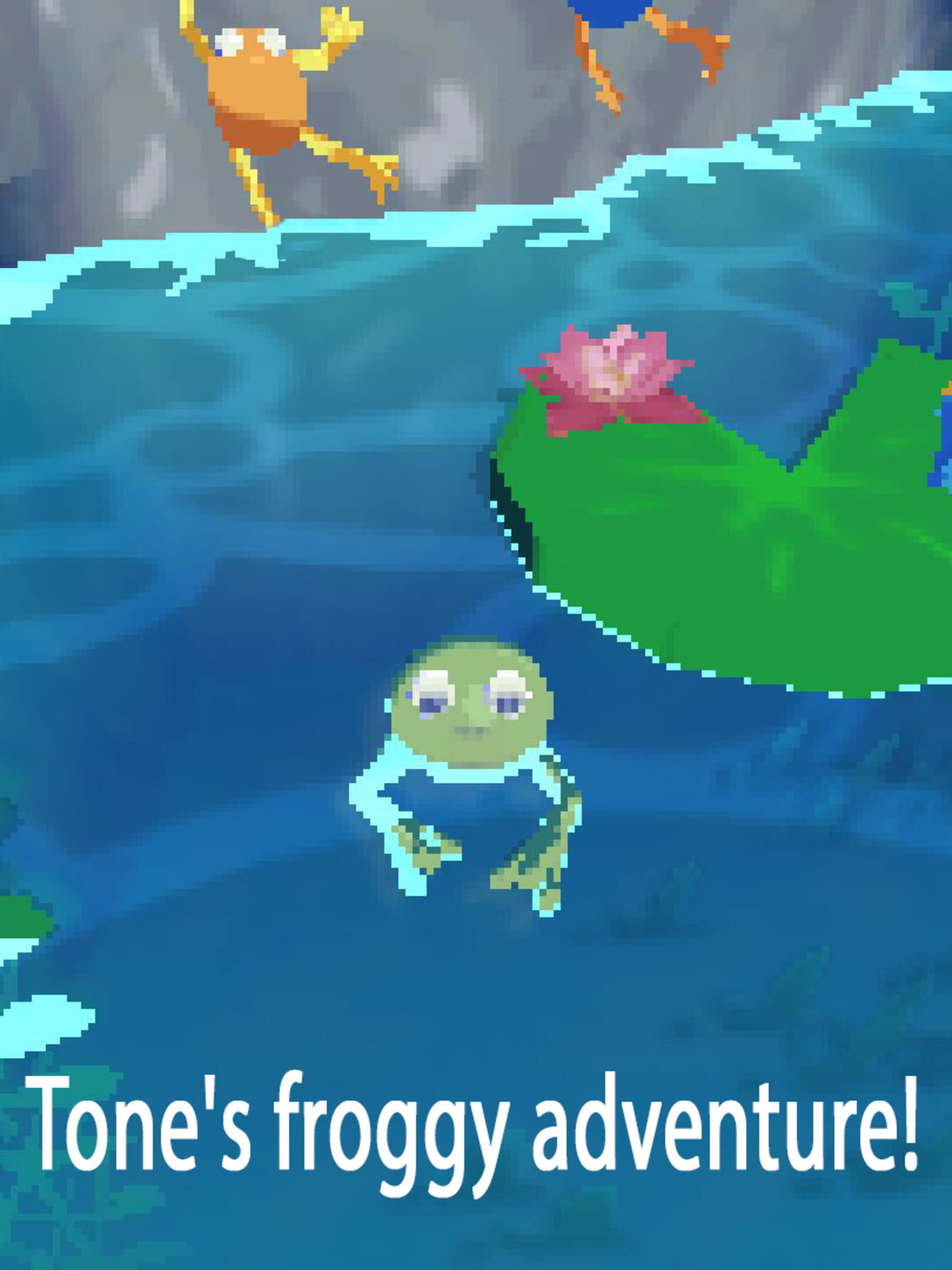 Tone's froggy adventure! cover