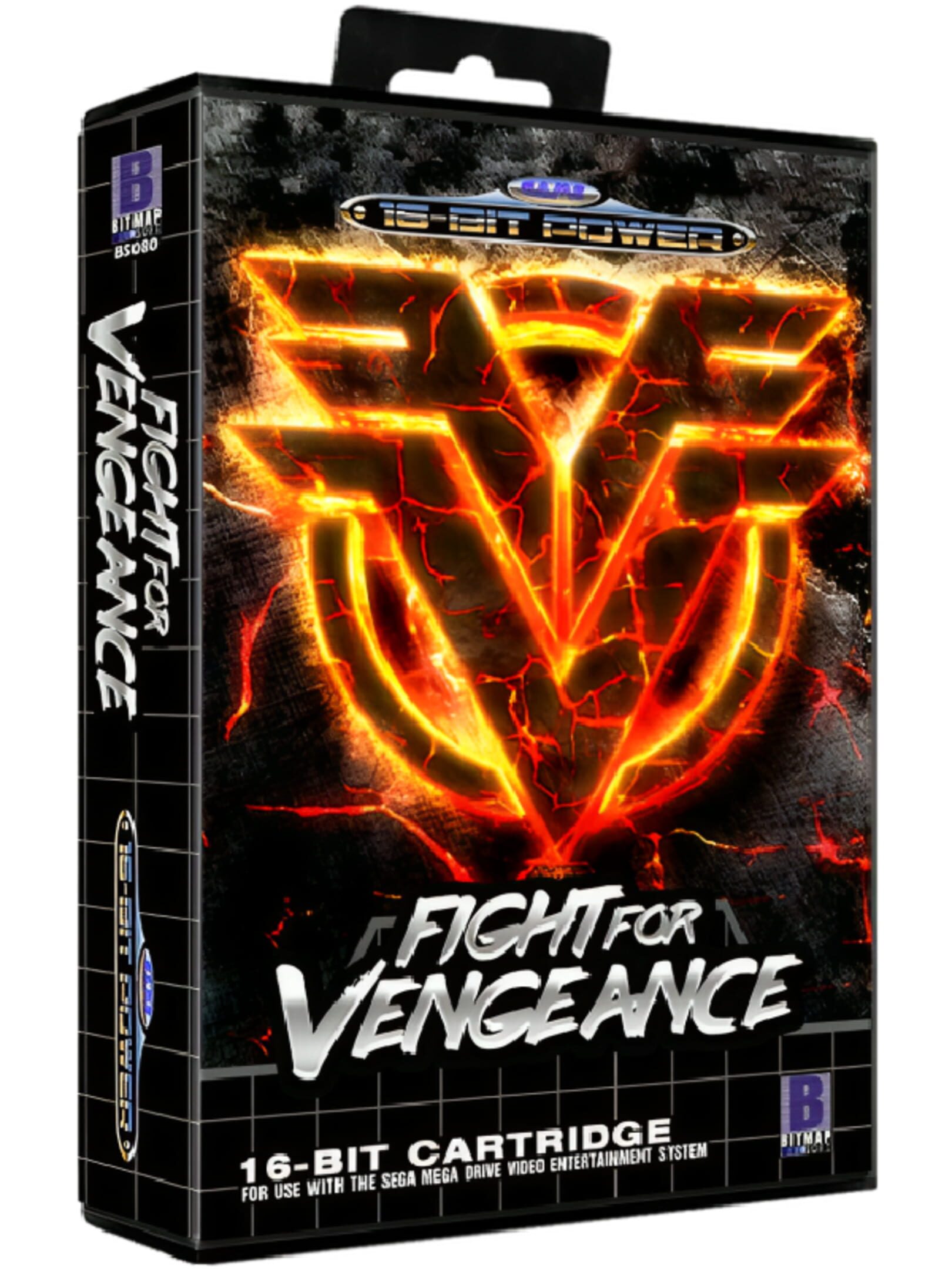 Fight for Vengeance cover